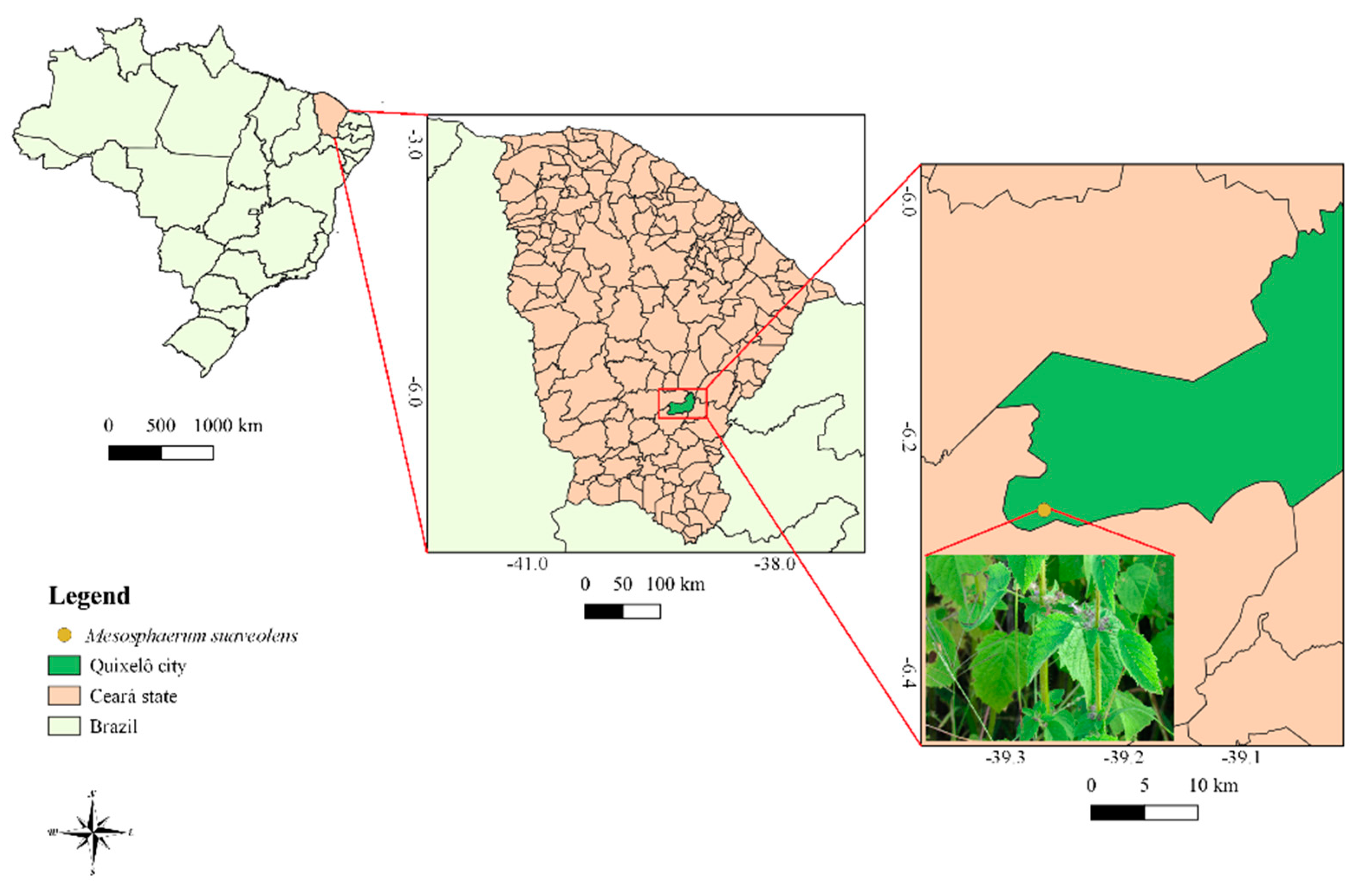 Antibiotics 09 00046 g006 Antibiotics 09 00046 g006