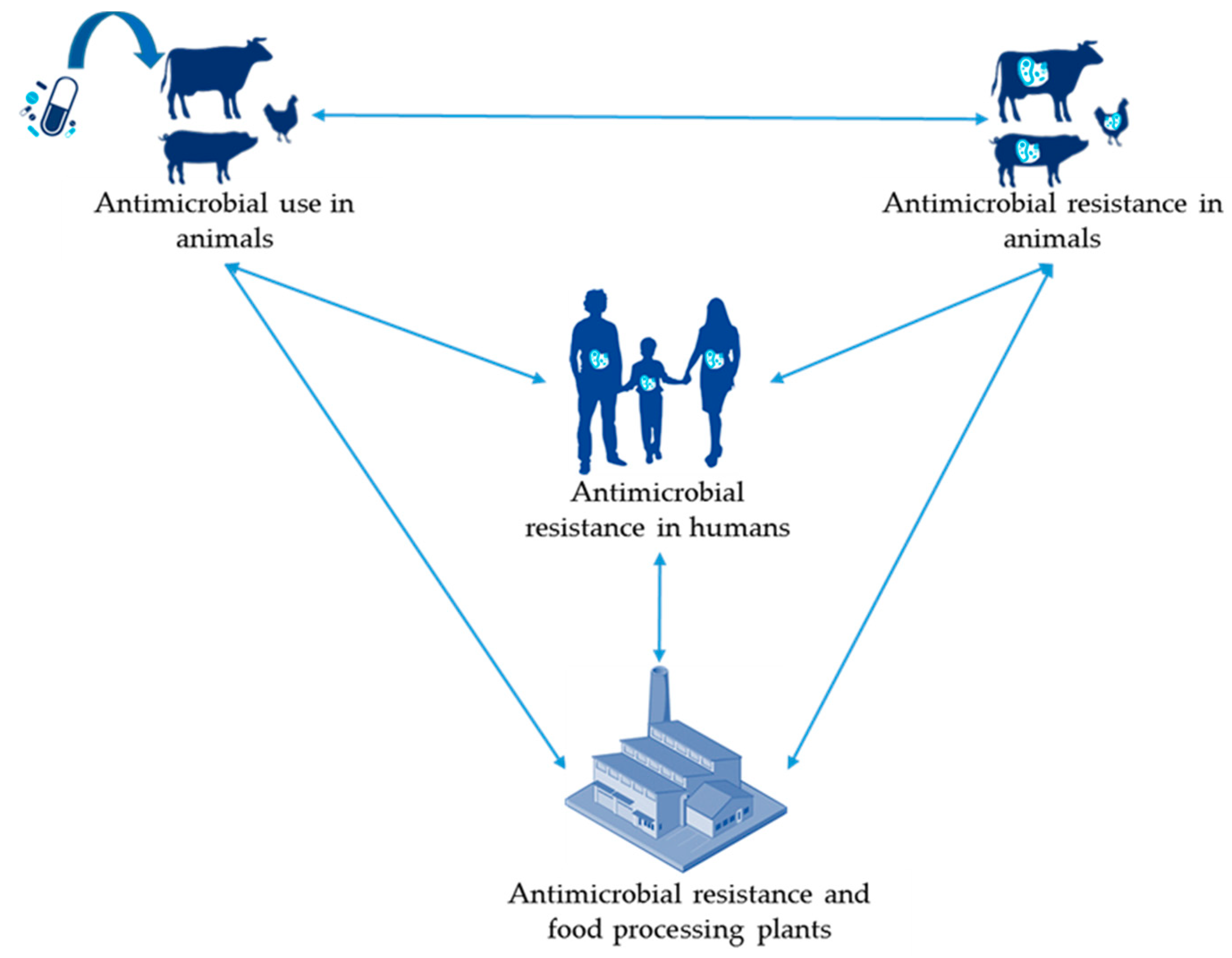 Antibiotics | Free Full-Text | Overview of Evidence of Antimicrobial Use  and Antimicrobial Resistance in the Food Chain