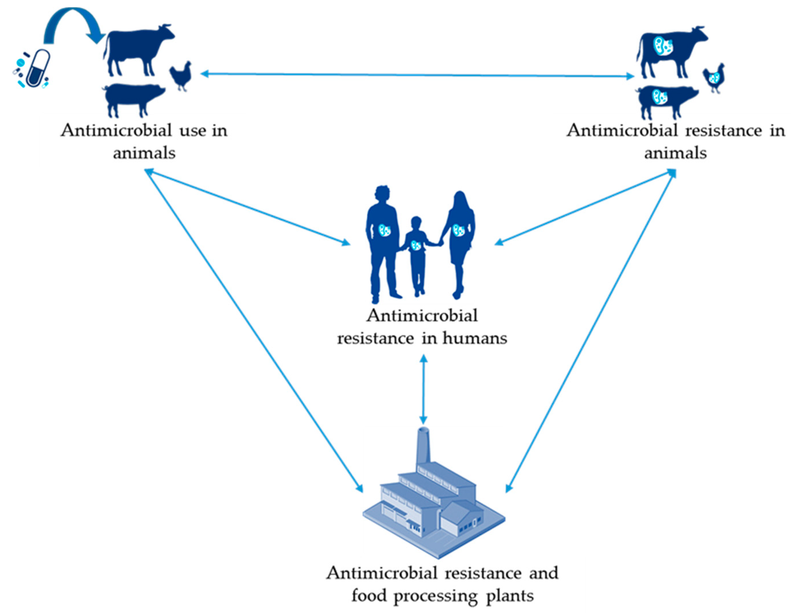 Antibiotics | Free Full-Text | Overview of Evidence of Antimicrobial Use and Antimicrobial Resistance in the Food Chain Antibiotics | Free Full-Text | Overview of Evidence of Antimicrobial Use and Antimicrobial Resistance in the Food Chain