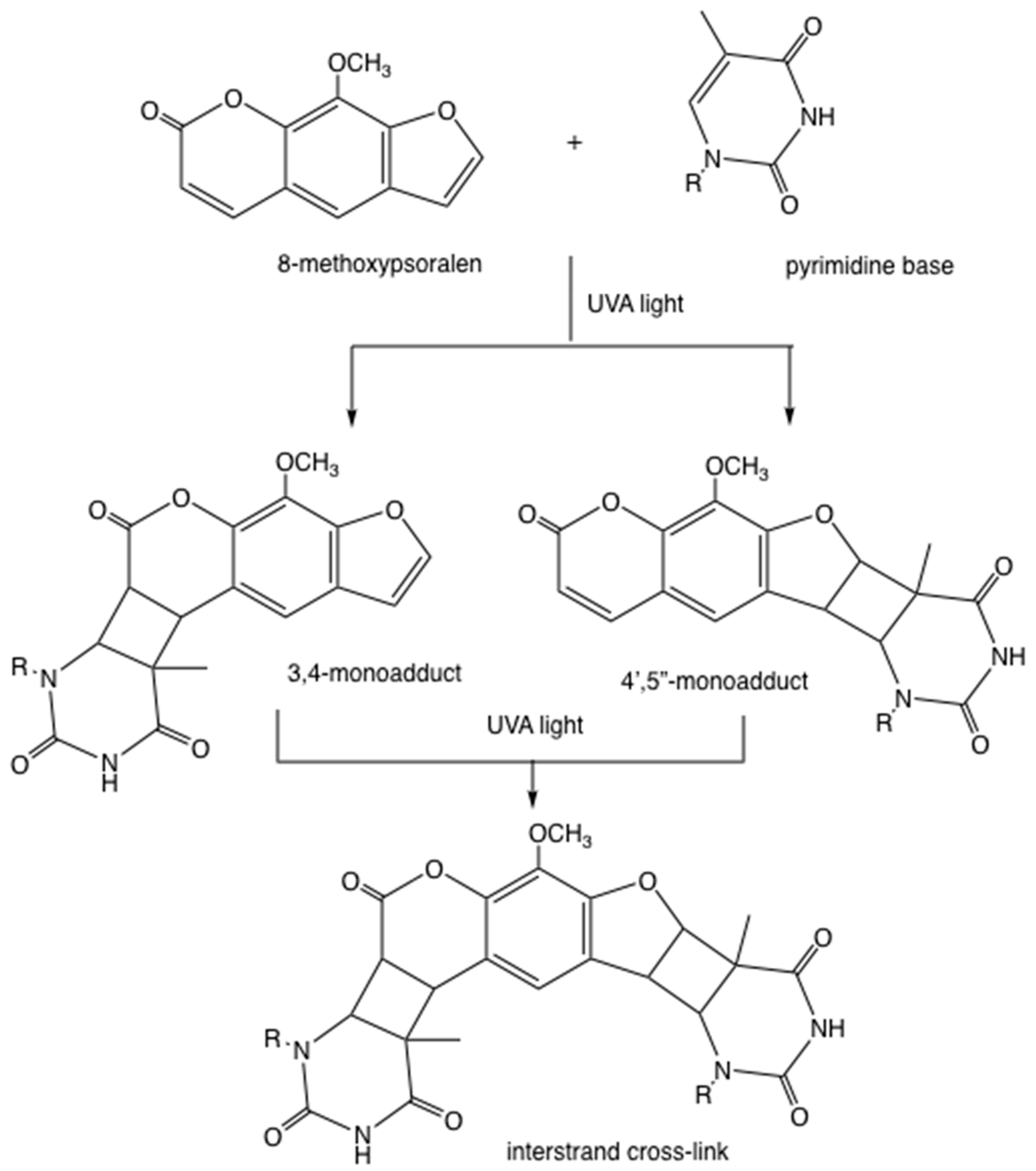 Antibiotics 09 00053 g002 Antibiotics 09 00053 g002