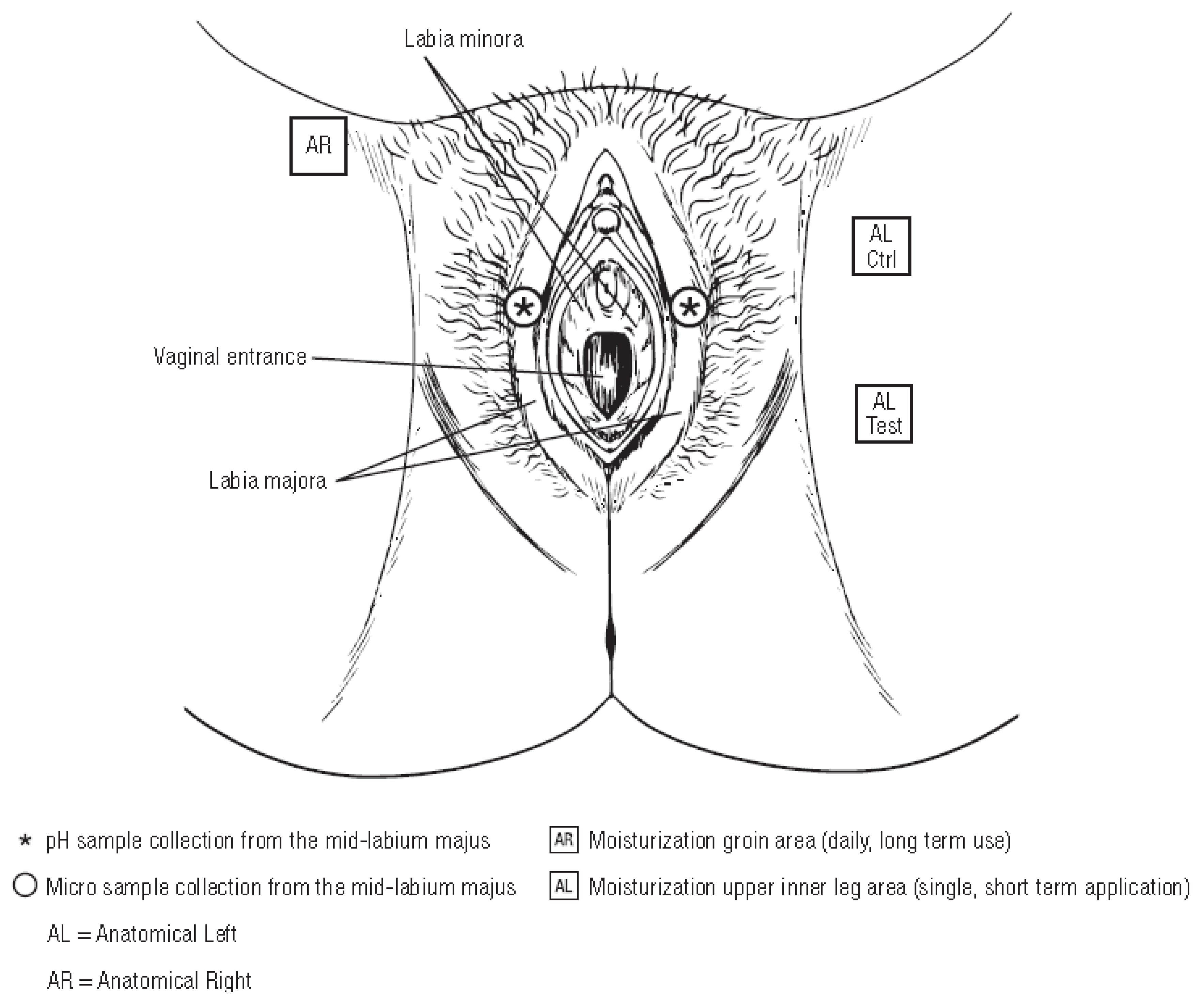 The labia libraries