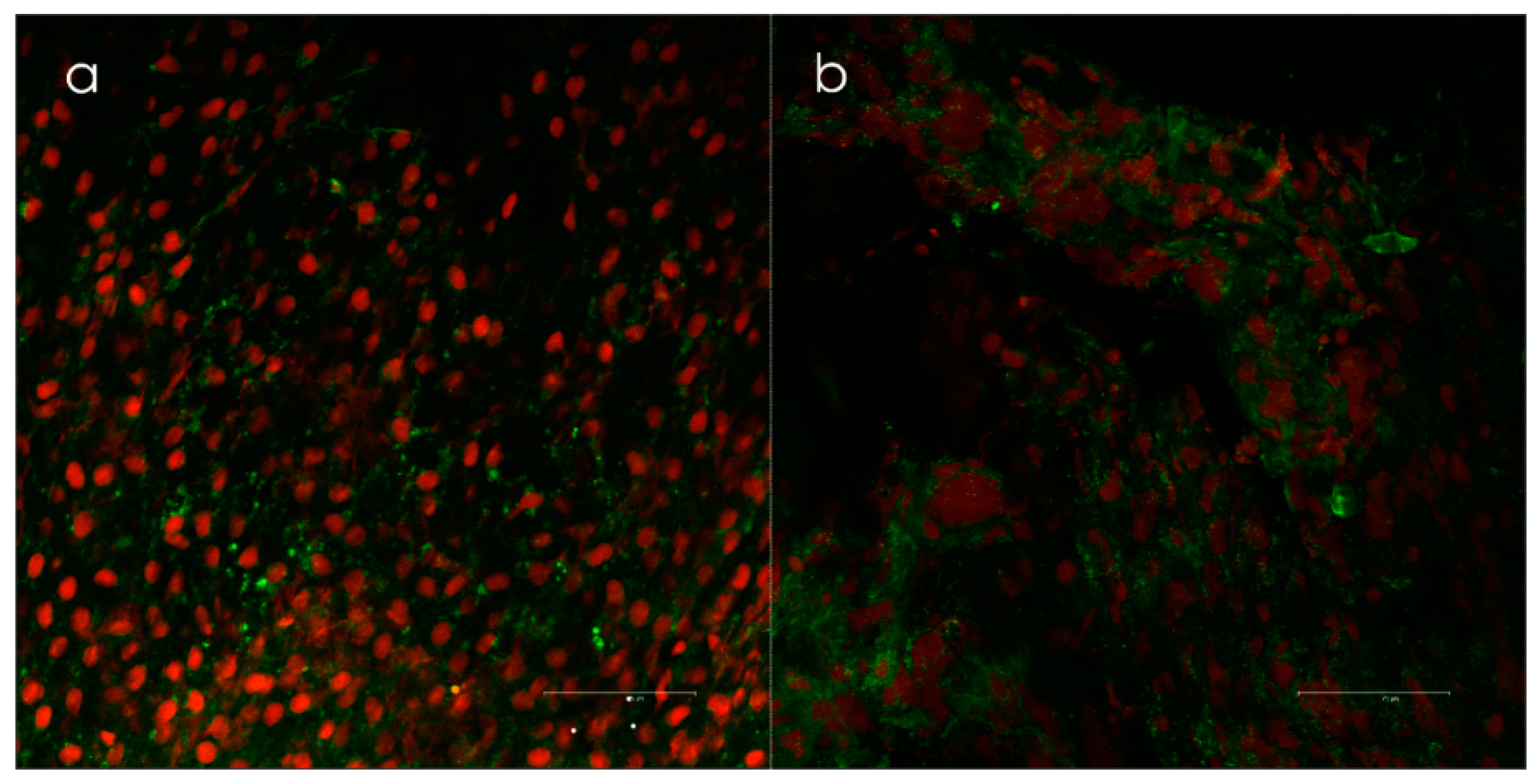 Antibiotics 09 00059 g003