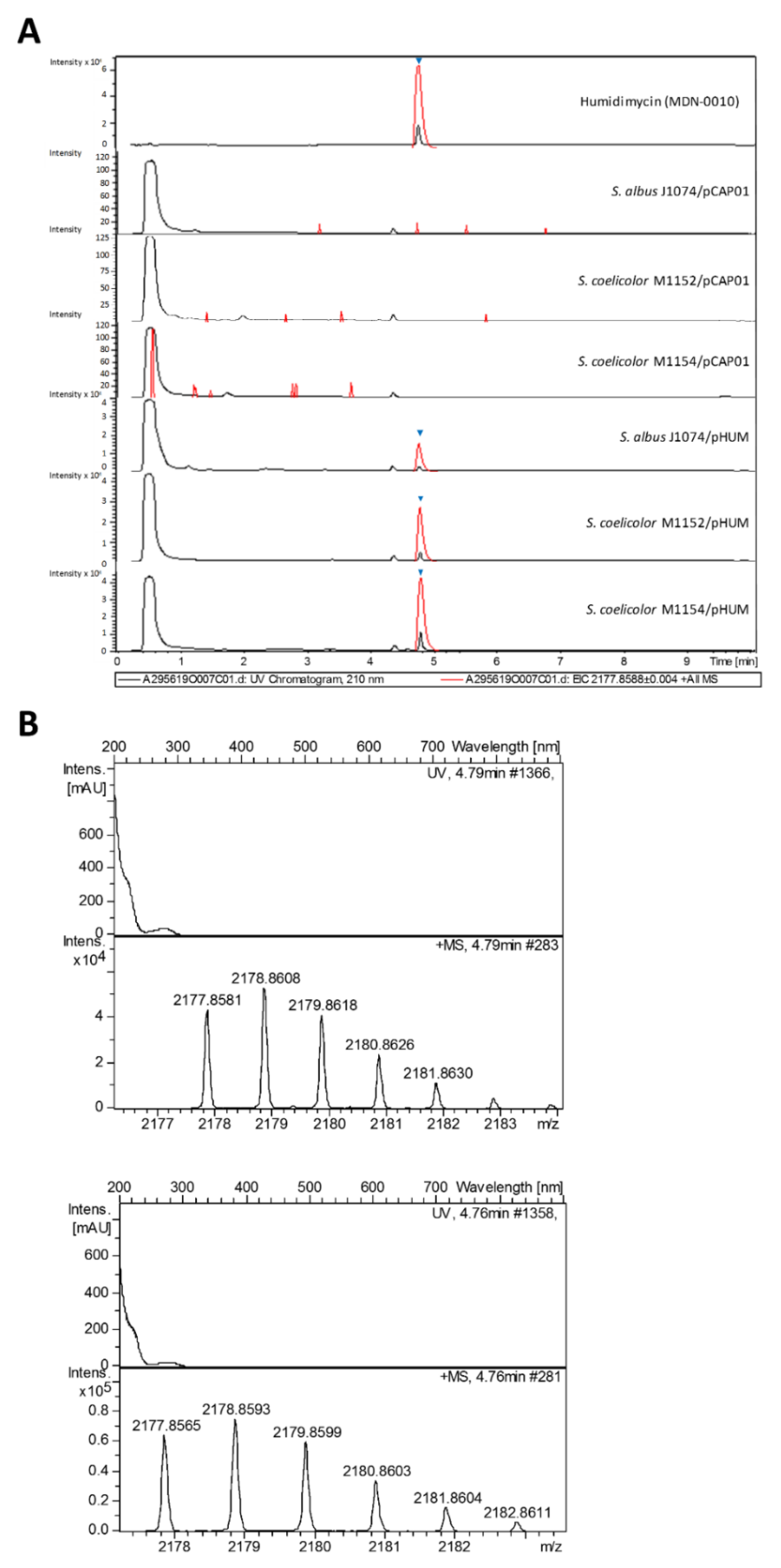 Antibiotics 09 00067 g004 Antibiotics 09 00067 g004