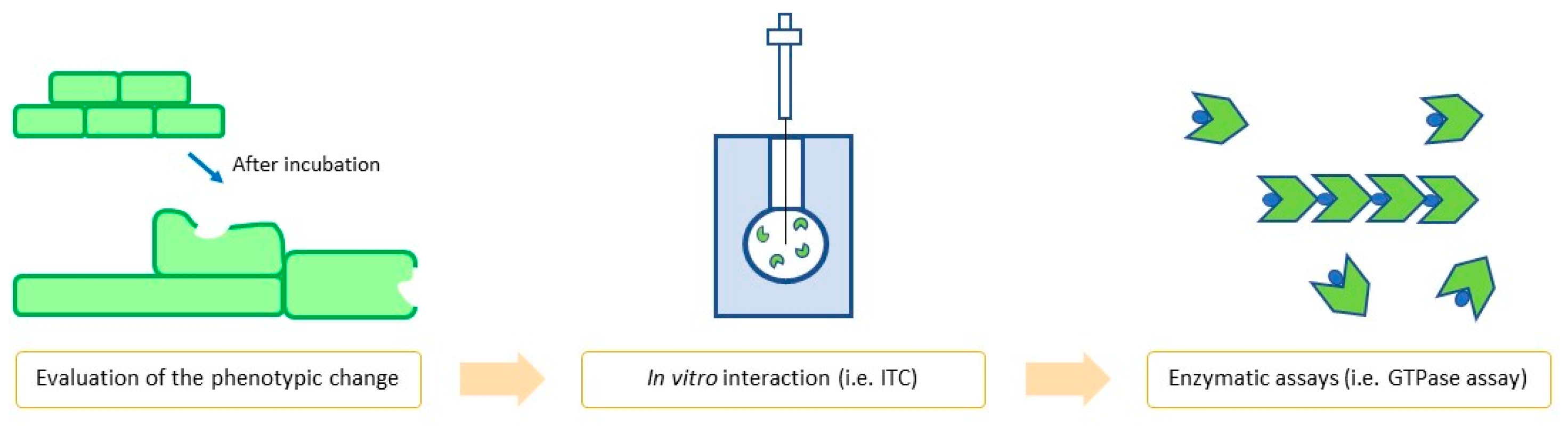 Antibiotics 09 00069 g002