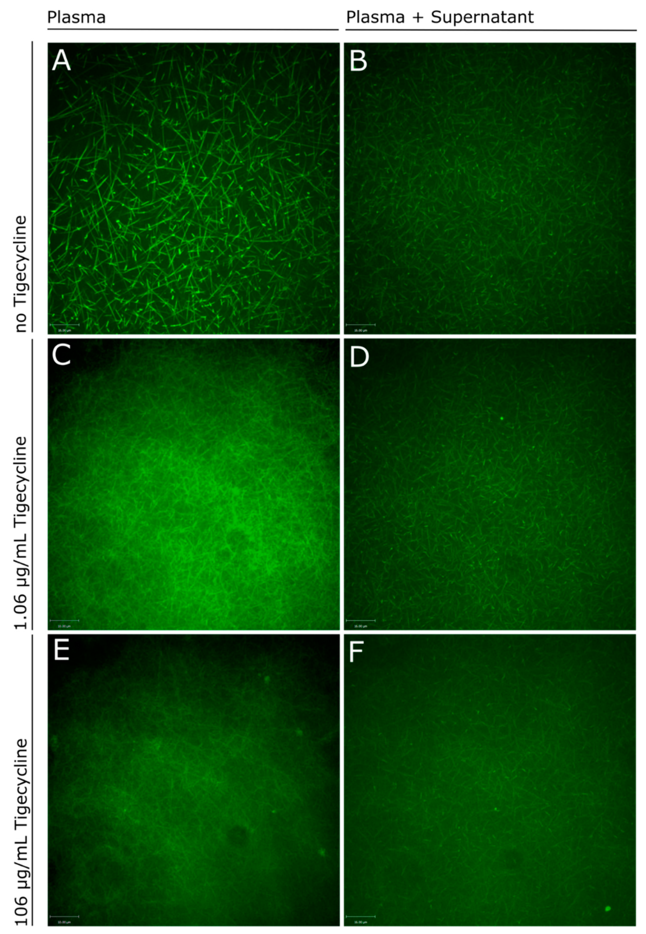 Antibiotics 09 00084 g002 Antibiotics 09 00084 g002