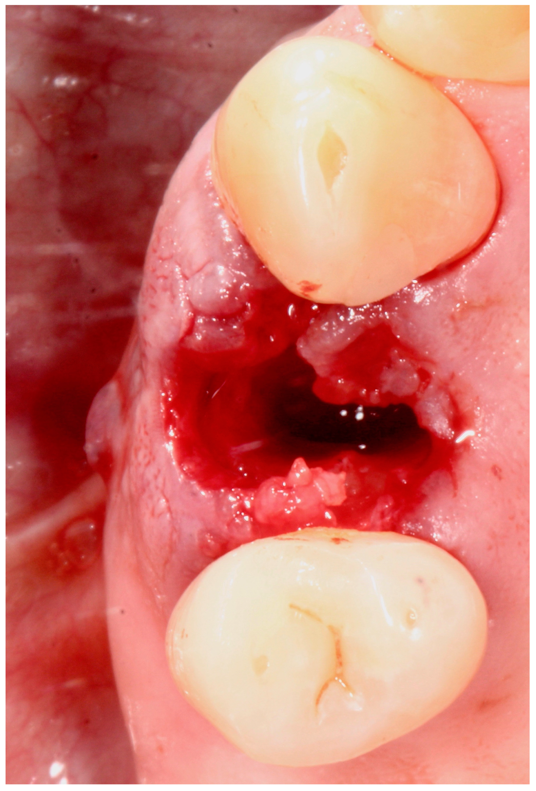 Antibiotics 09 00110 g002