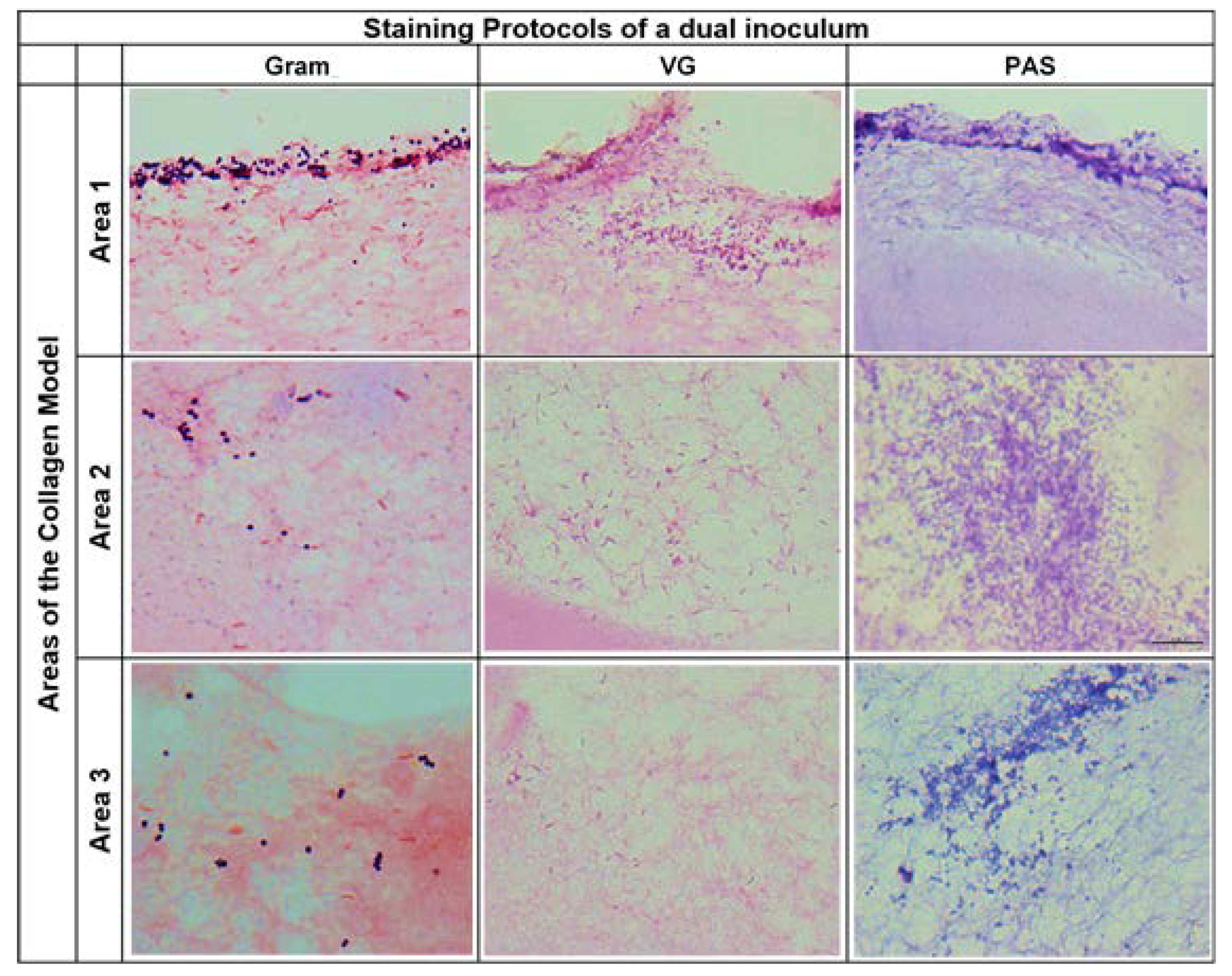 Antibiotics 09 00128 g003 Antibiotics 09 00128 g003