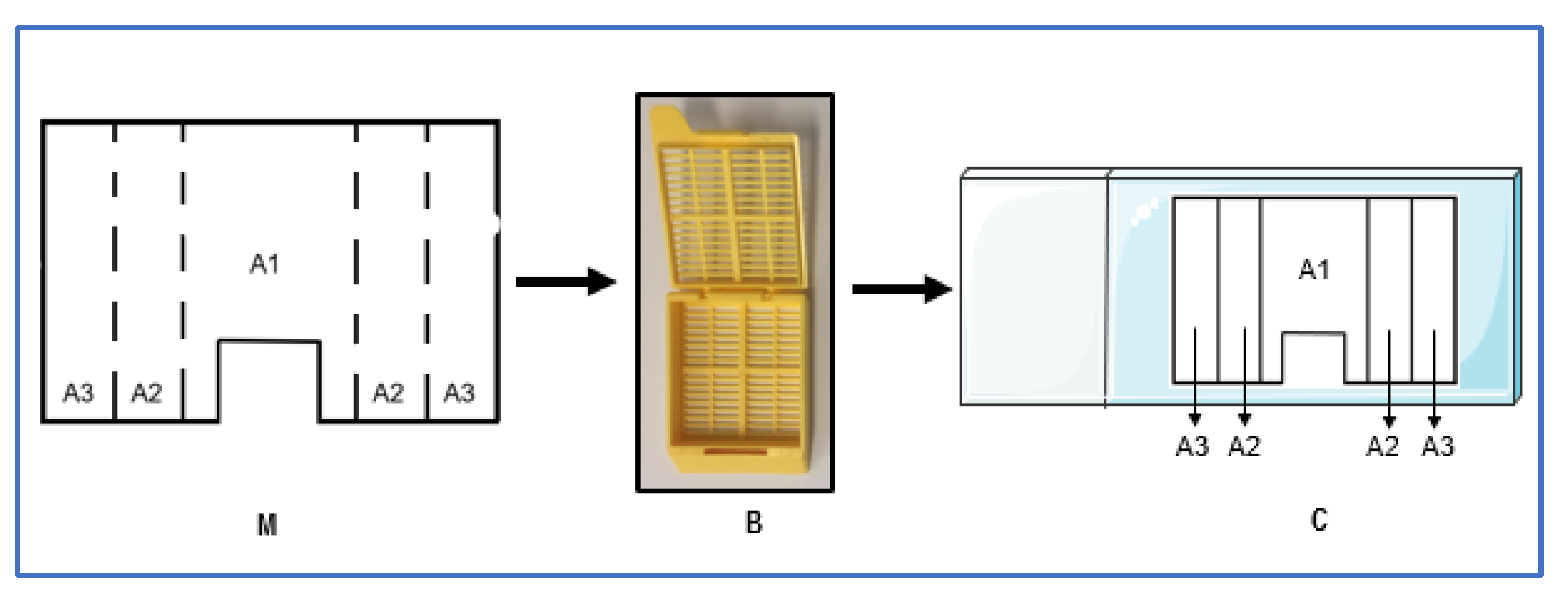 Antibiotics 09 00128 g005 Antibiotics 09 00128 g005