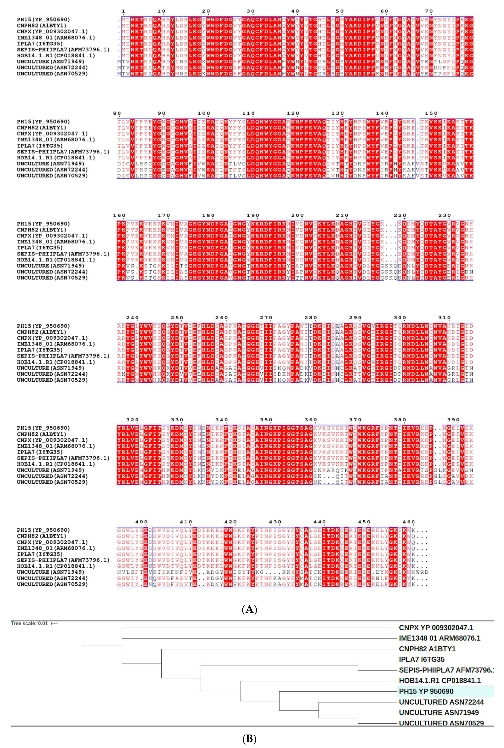 Antibiotics 09 00148 g003