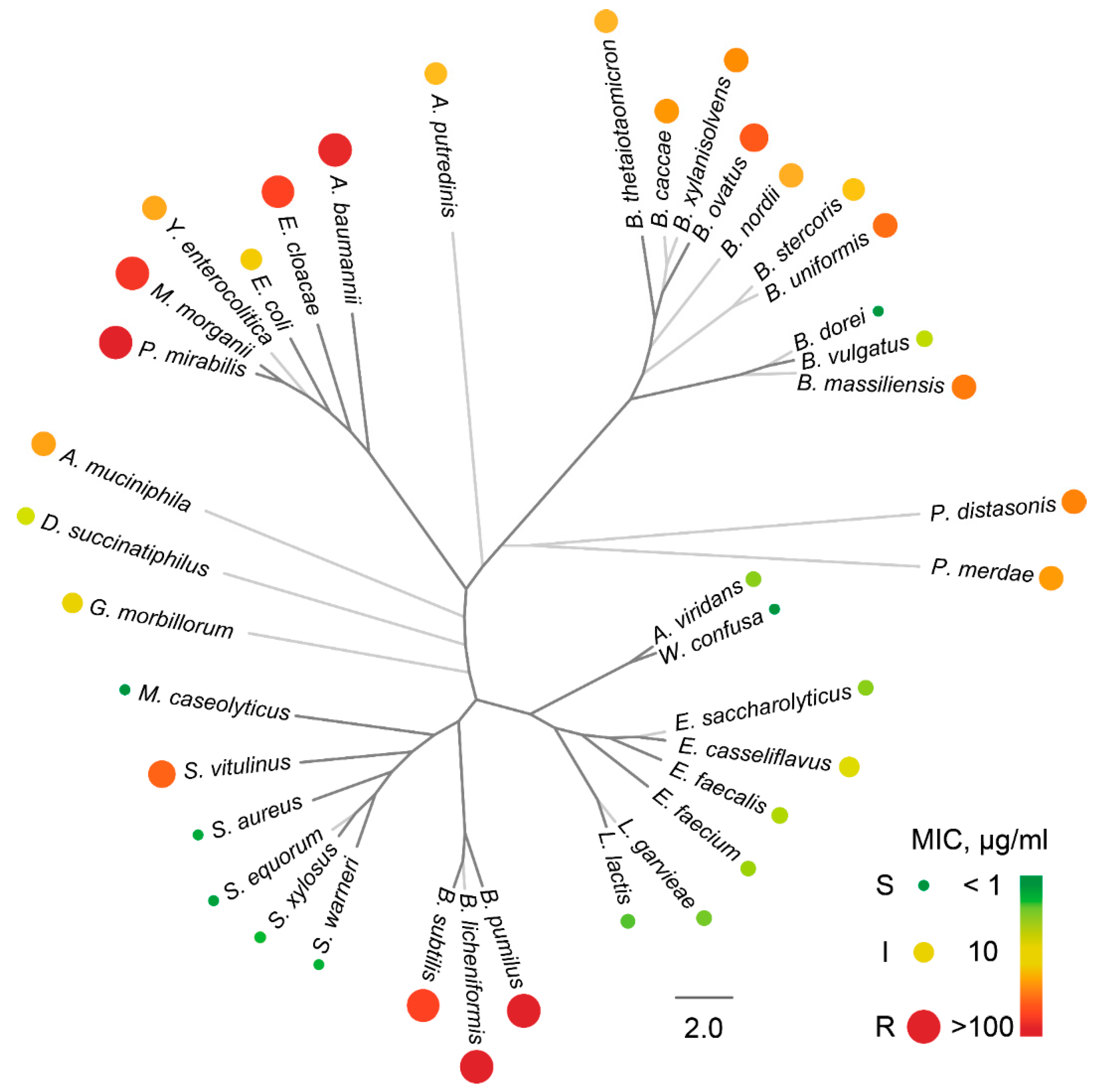 Antibiotics 09 00157 g004