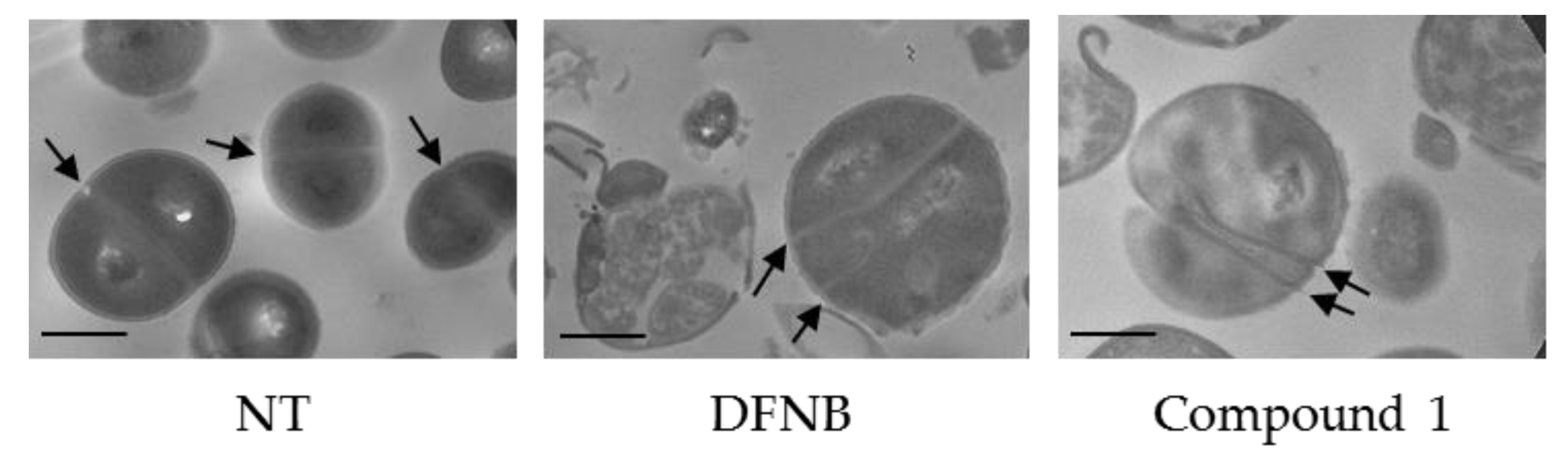 Antibiotics 09 00160 g004