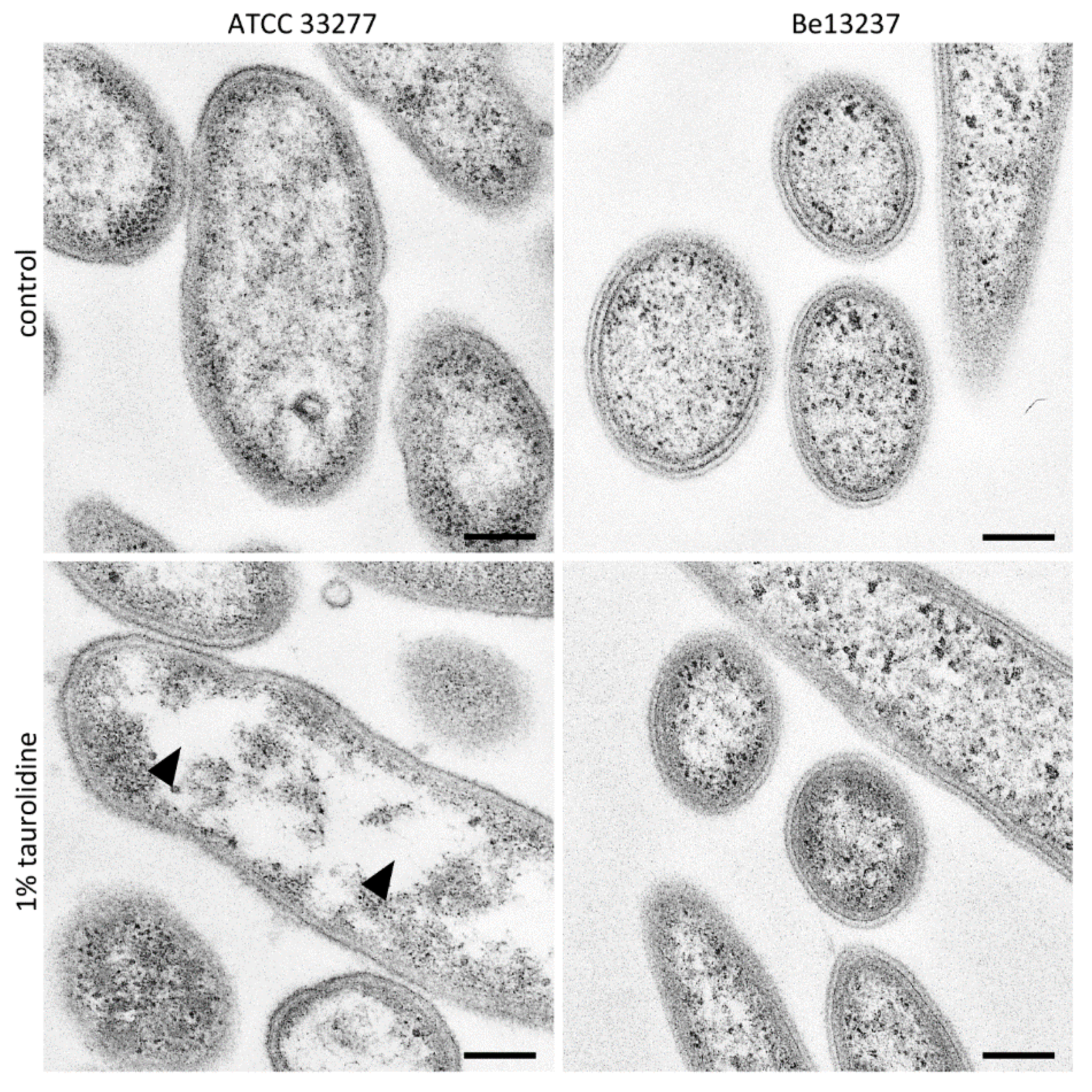 Antibiotics 09 00166 g001 Antibiotics 09 00166 g001