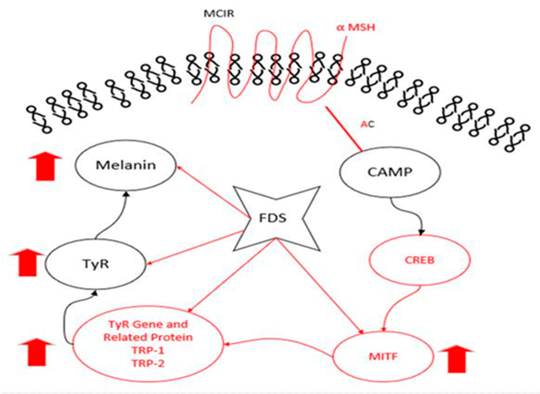 Antibiotics 09 00172 g006 Antibiotics 09 00172 g006