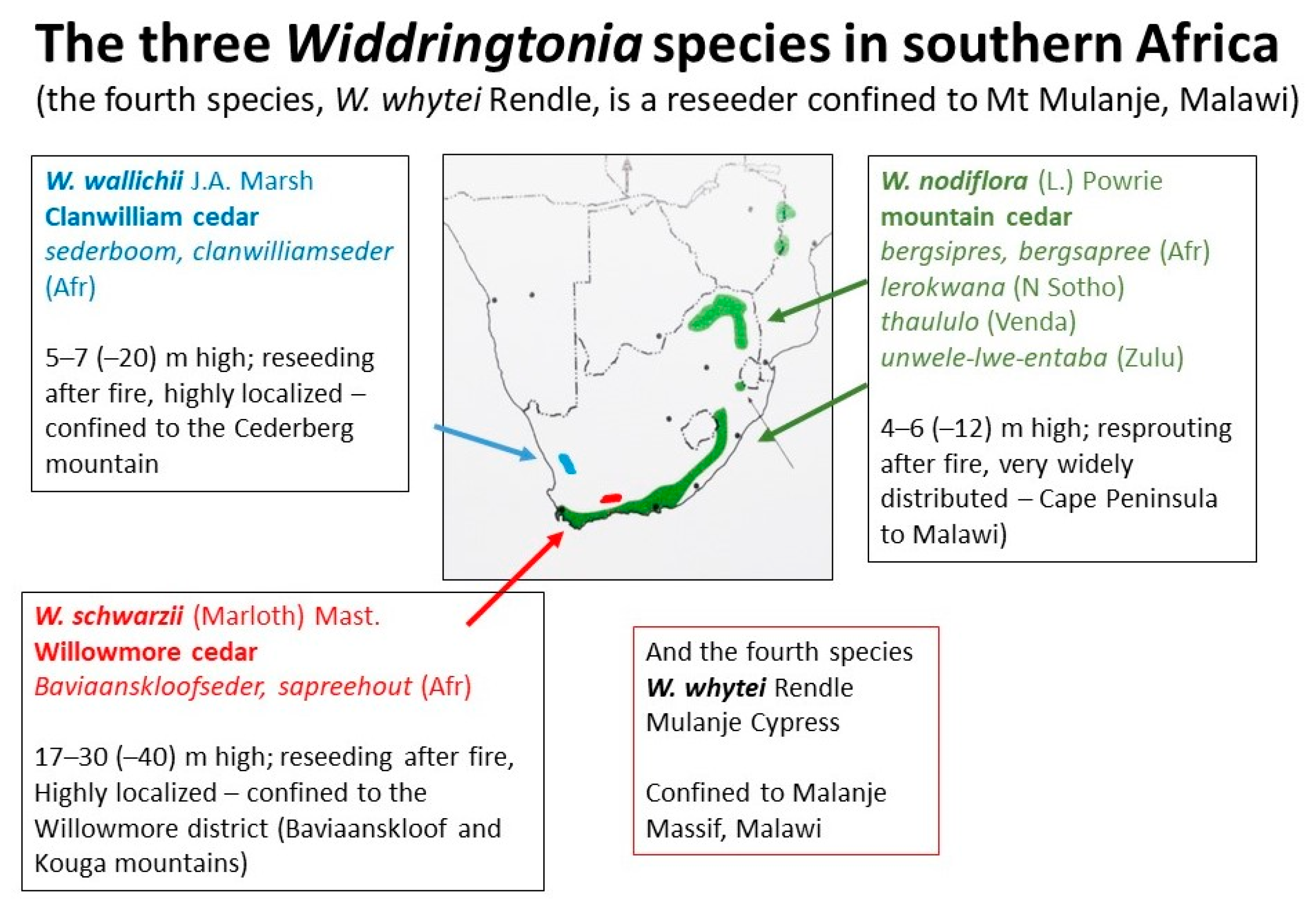 Antibiotics 09 00173 g001