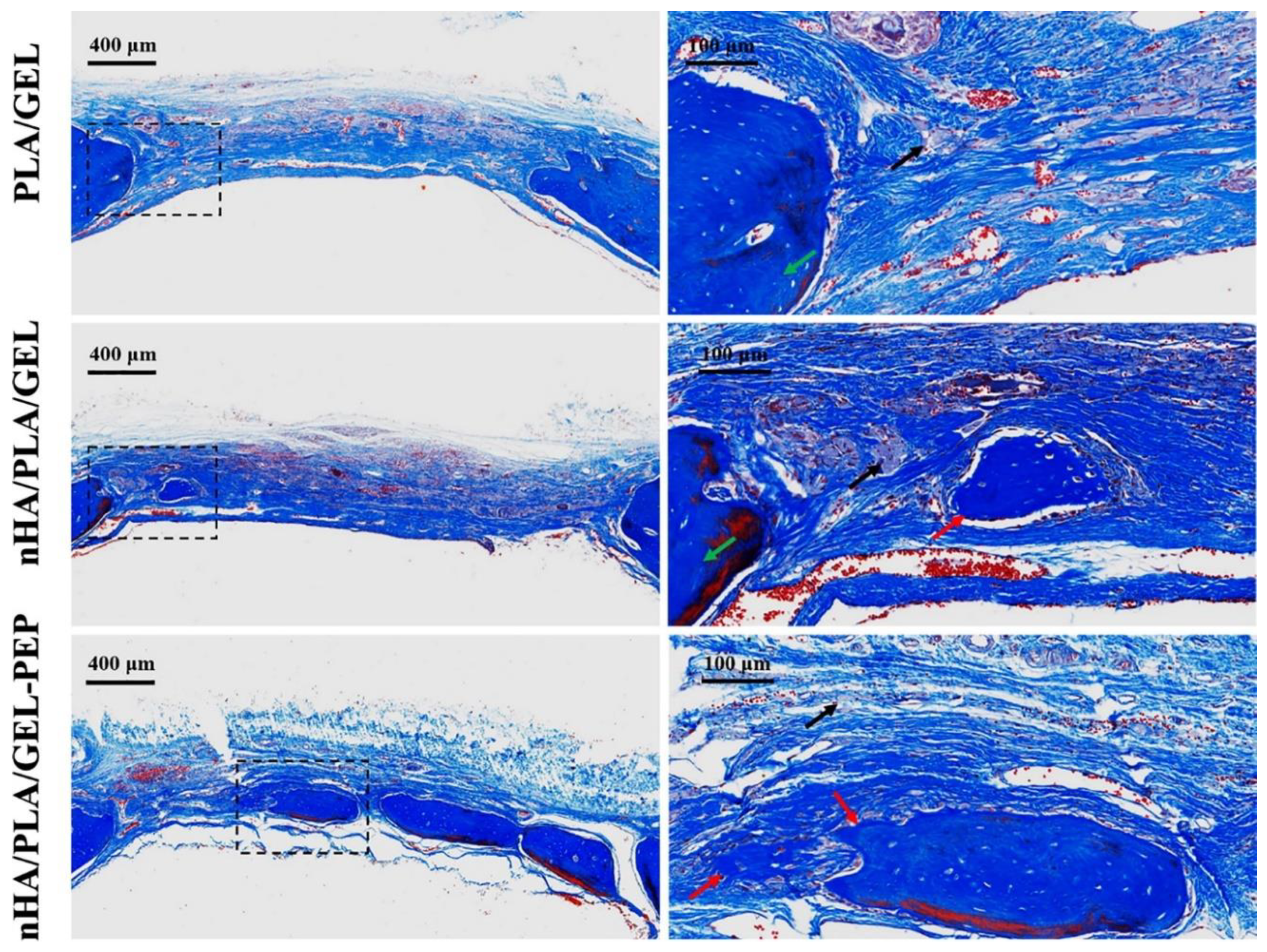 Antibiotics 09 00174 g004