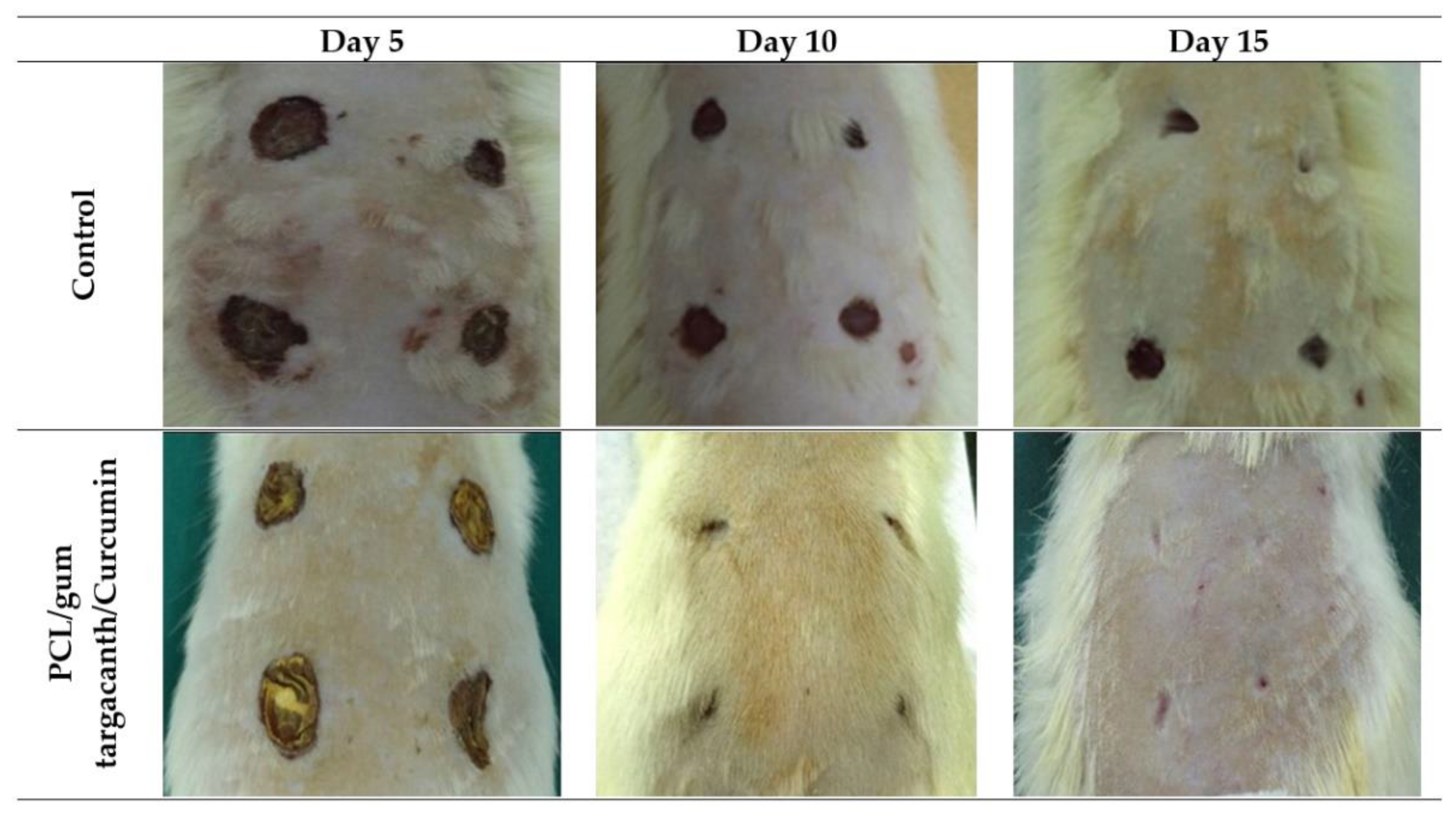 Antibiotics 09 00174 g006