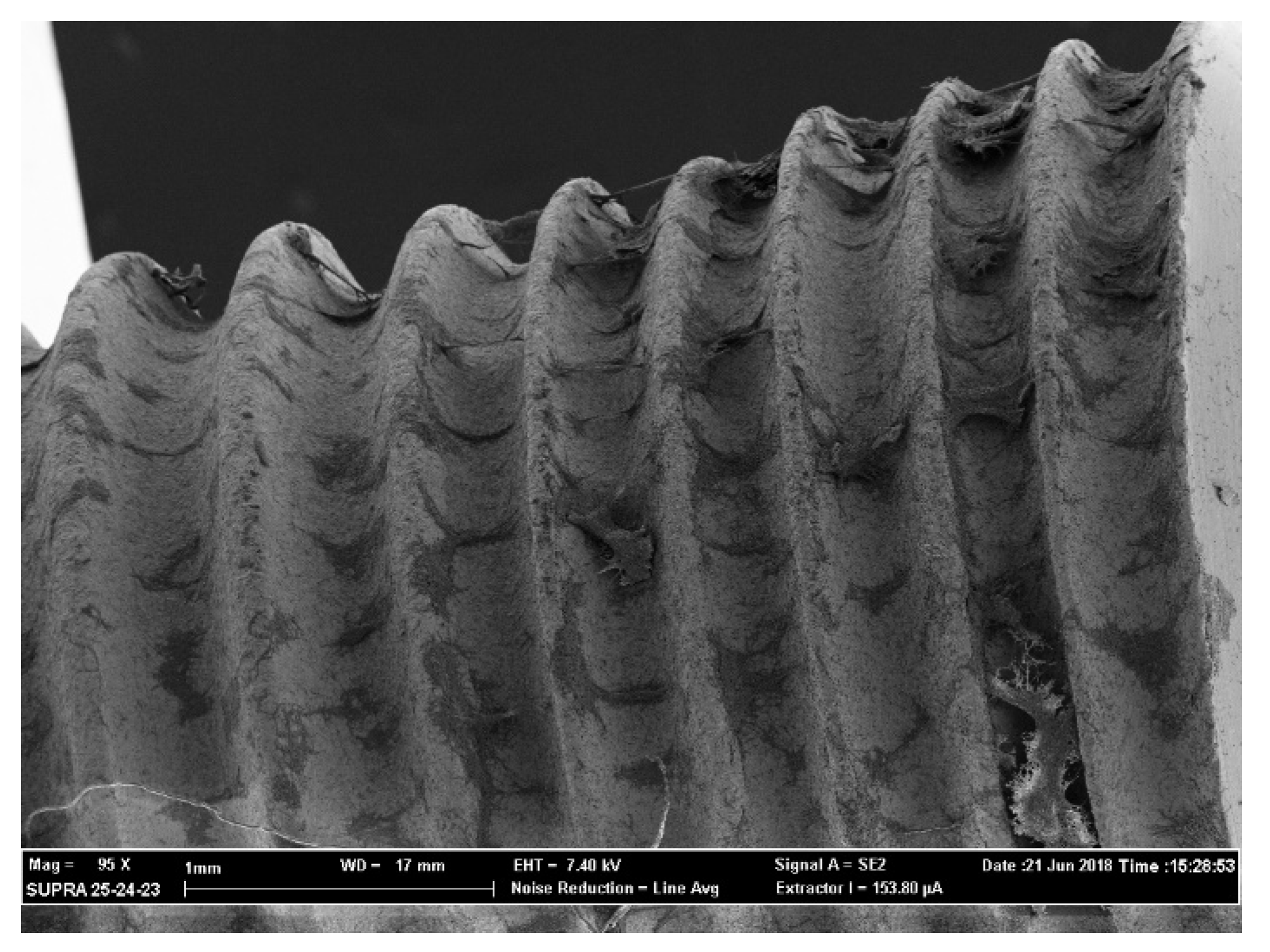 Antibiotics 09 00179 g005 Antibiotics 09 00179 g005