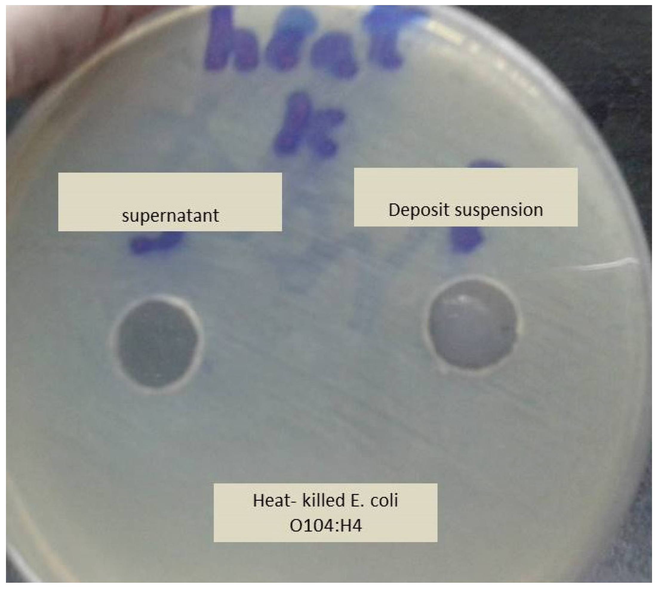 Antibiotics 09 00181 g002