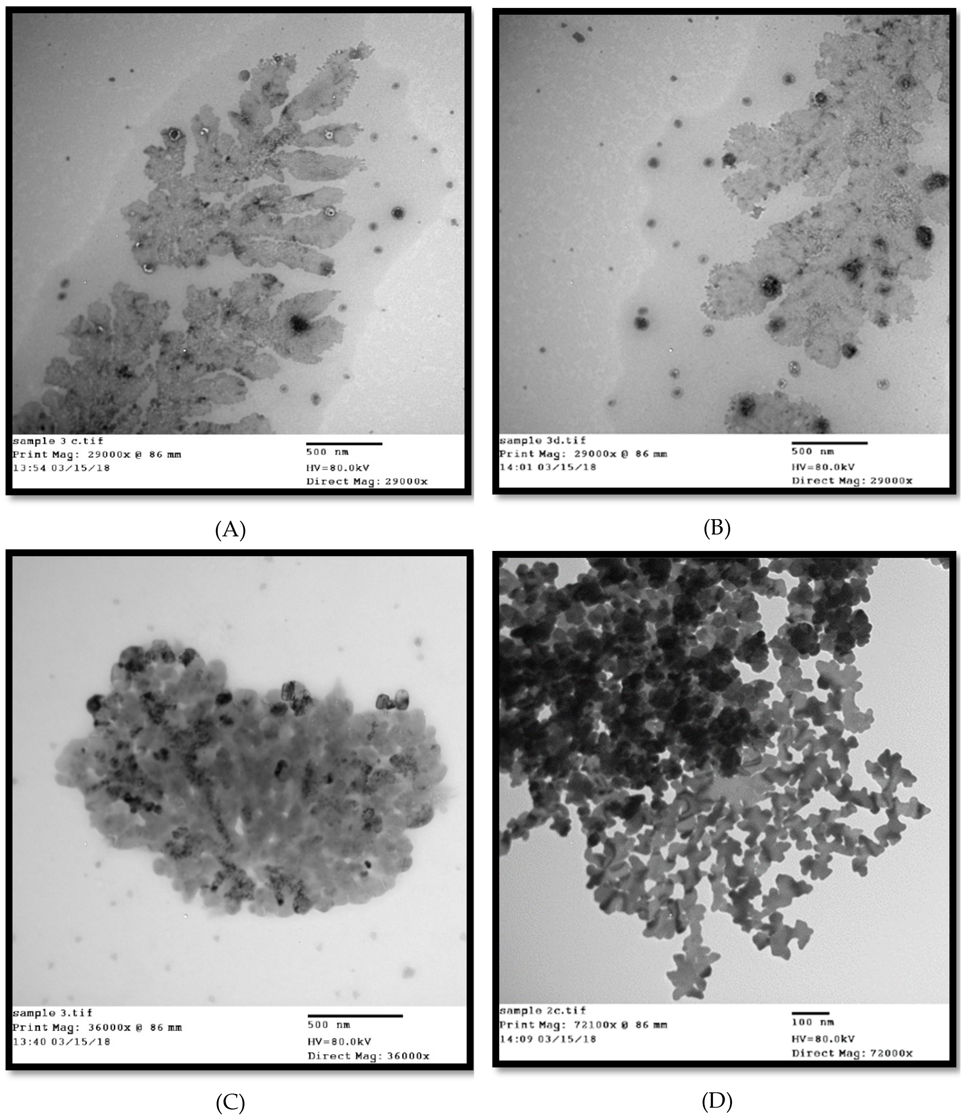 Antibiotics 09 00181 g005