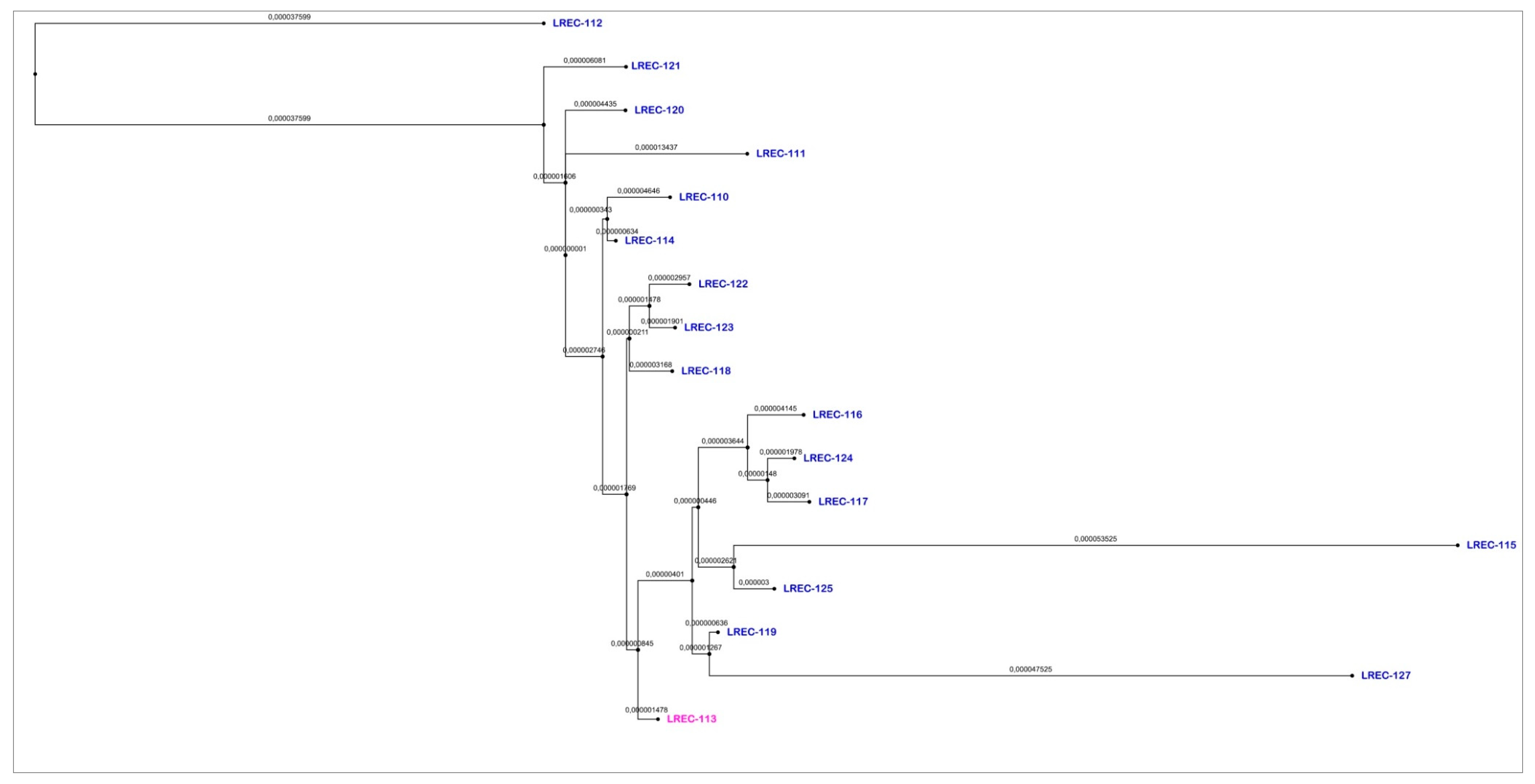 Antibiotics 09 00192 g003