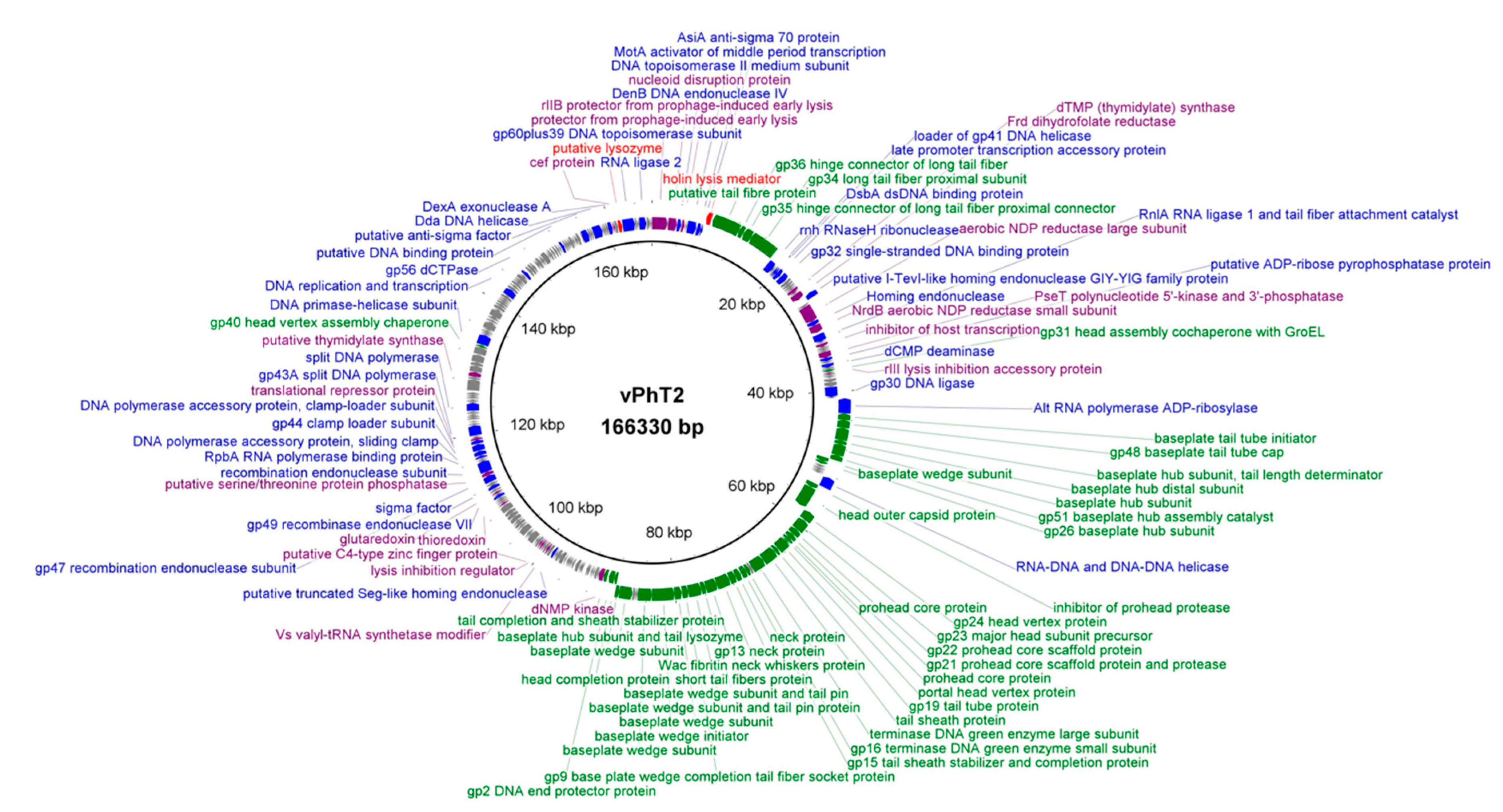 Antibiotics 09 00200 g003