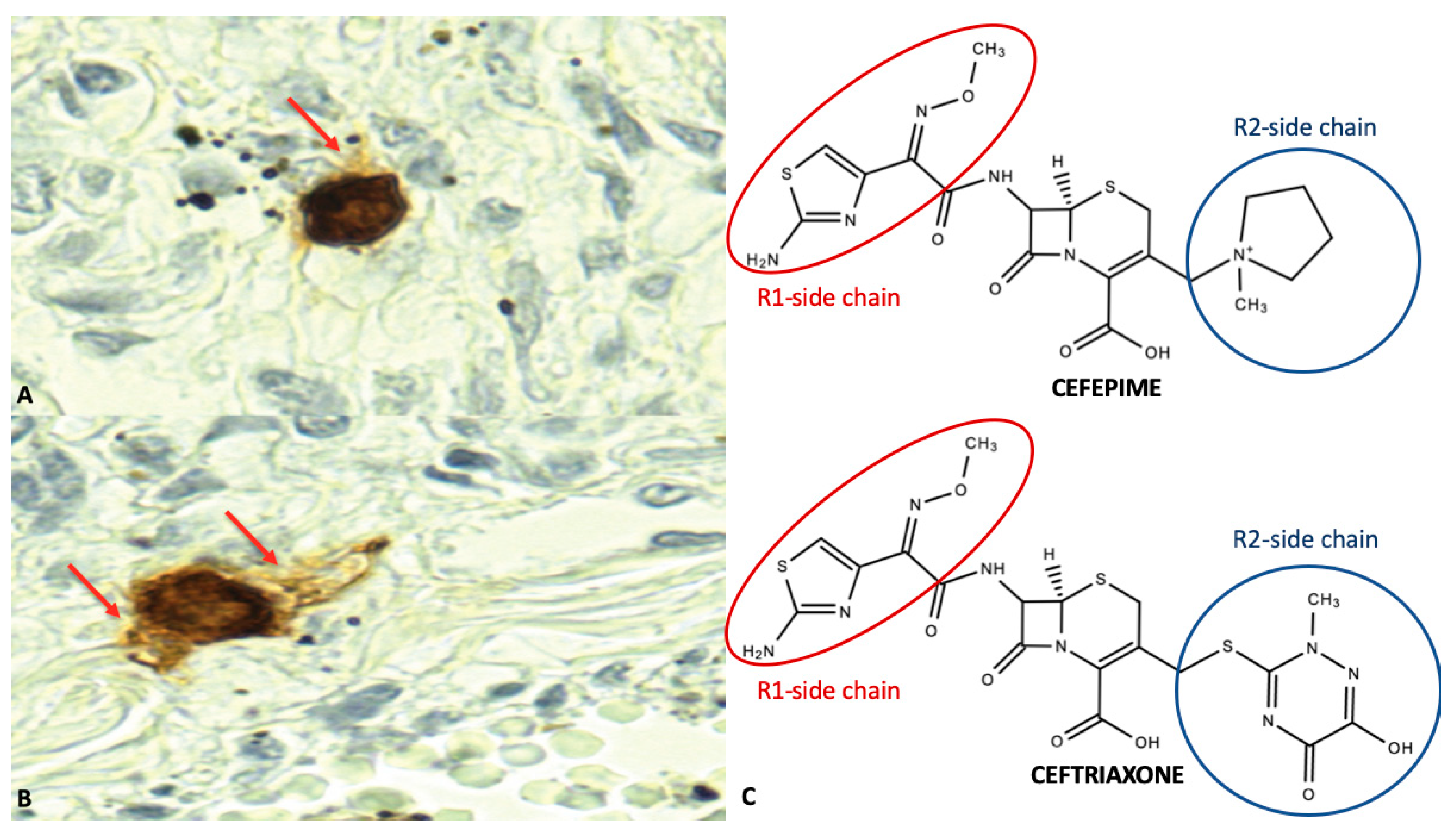 Antibiotics 09 00209 g001 Antibiotics 09 00209 g001