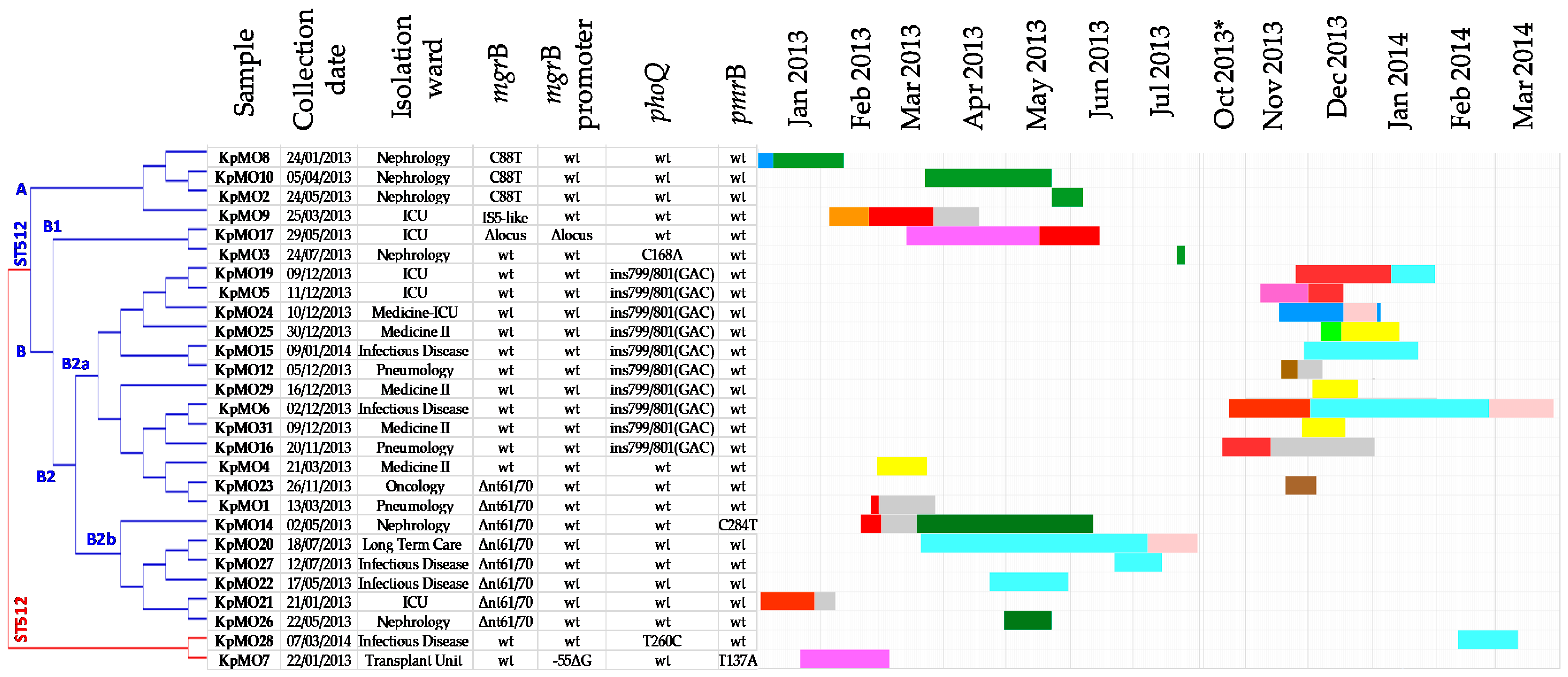 Antibiotics 09 00246 g003