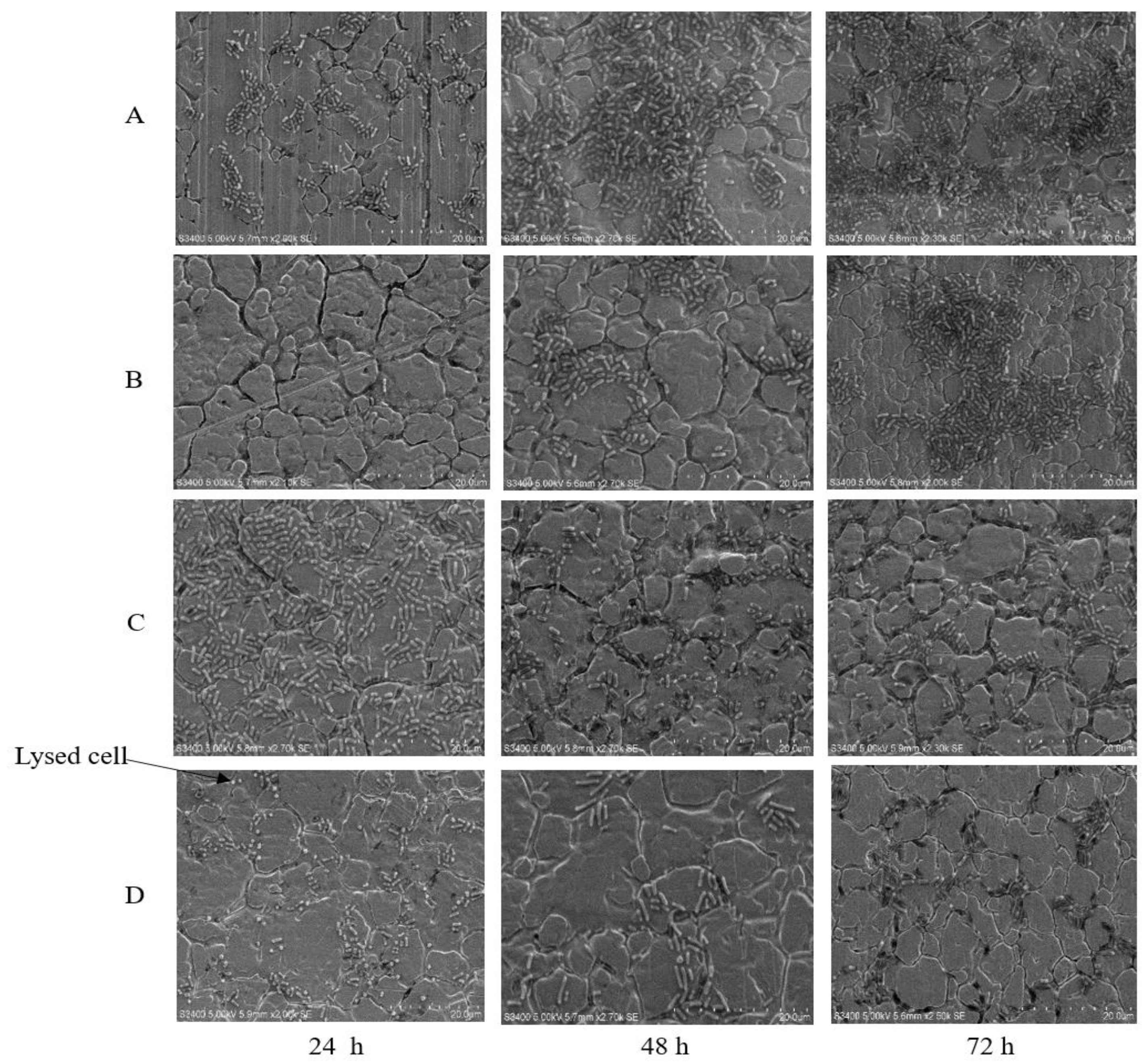 Antibiotics 09 00257 g003