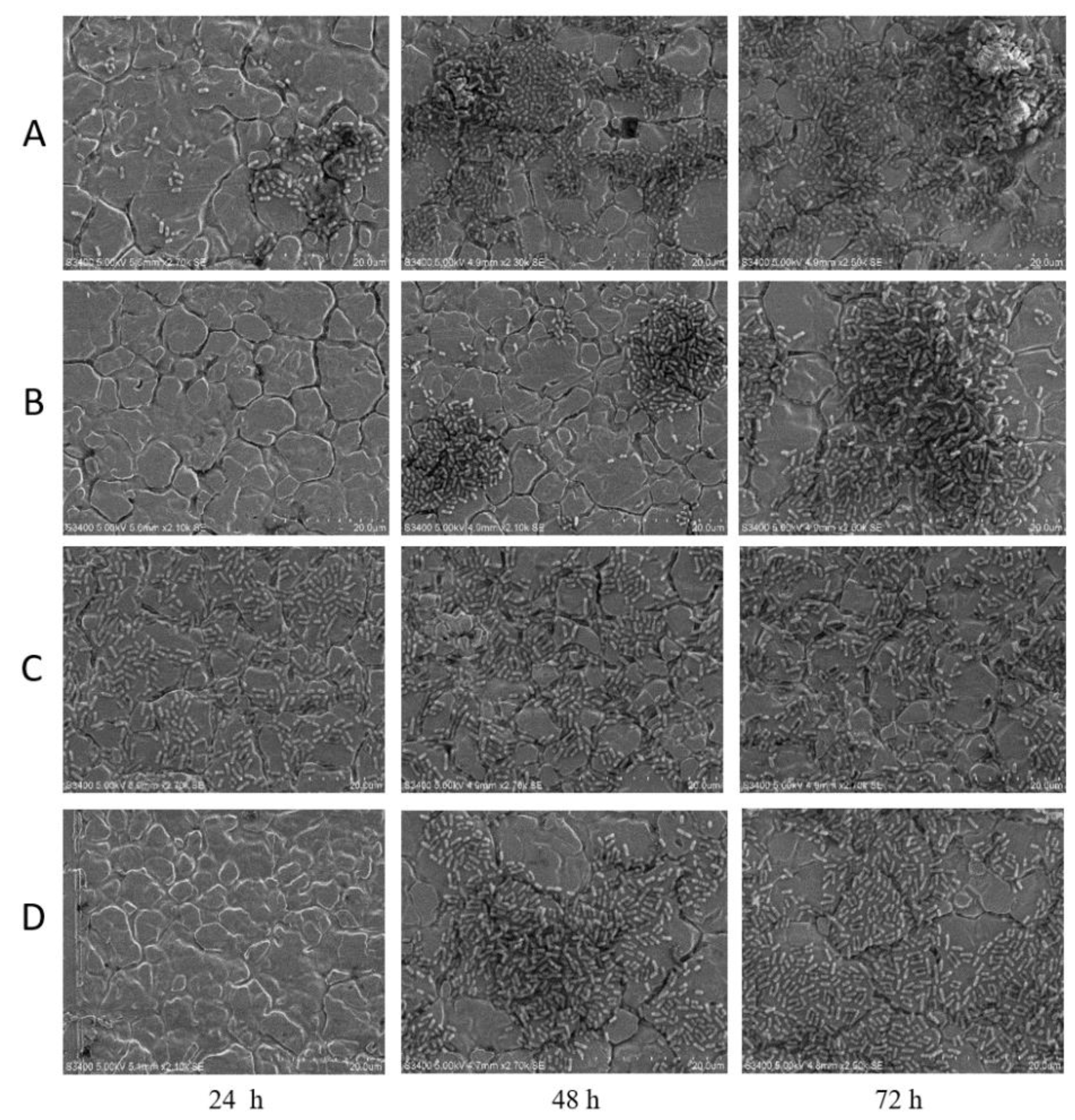 Antibiotics 09 00257 g006