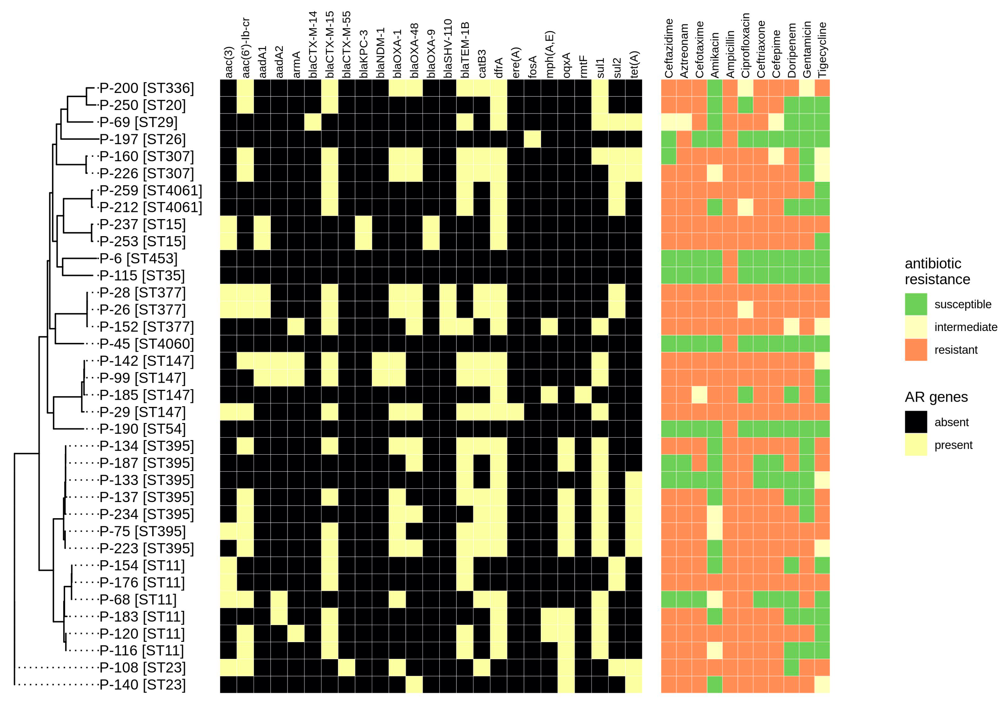 Antibiotics 09 00261 g002