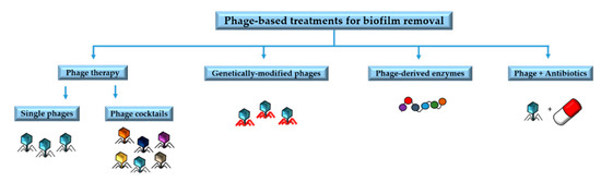 Antibiotics 09 00268 g002 550