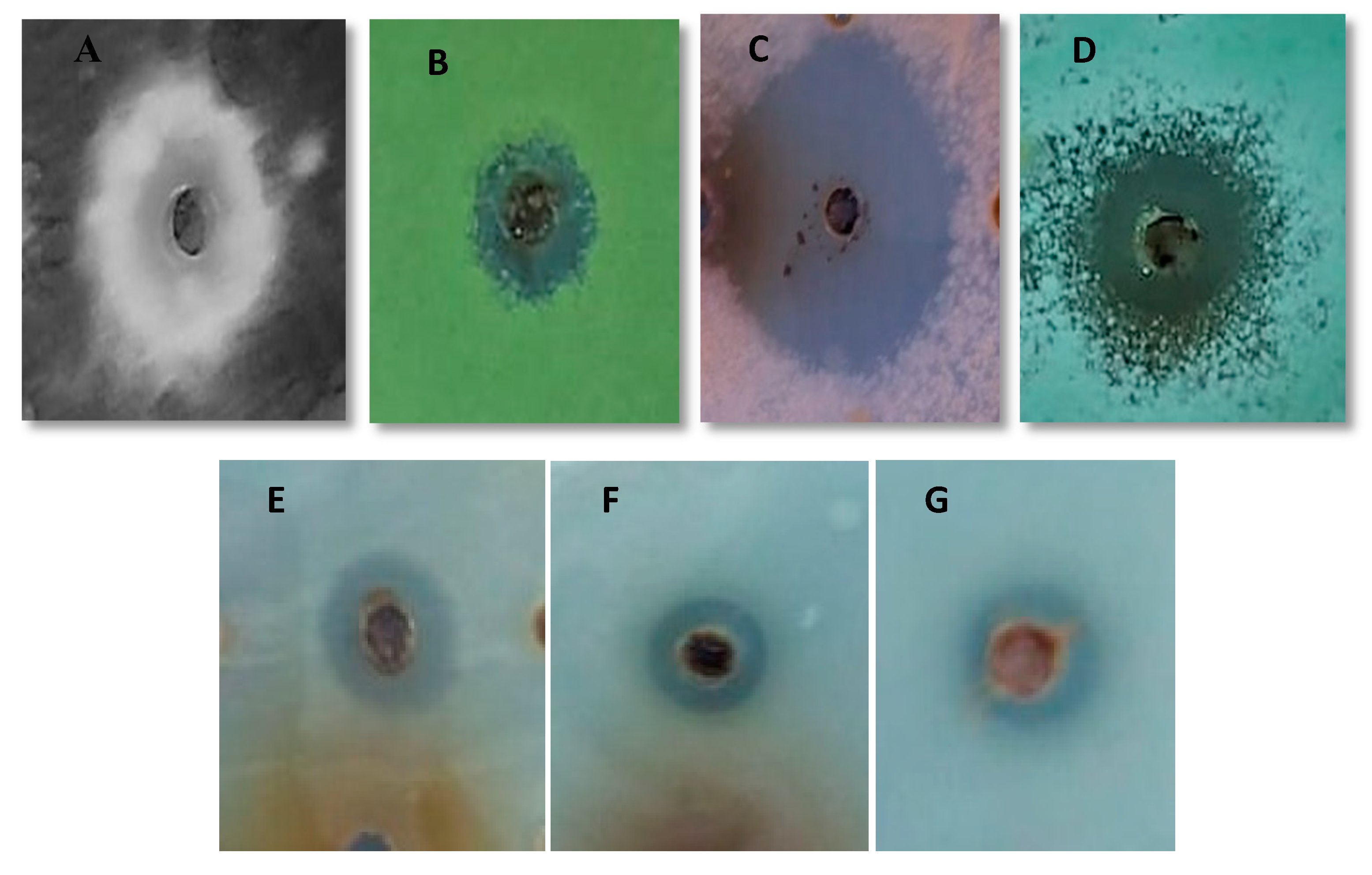 Antibiotics 09 00270 g003 Antibiotics 09 00270 g003