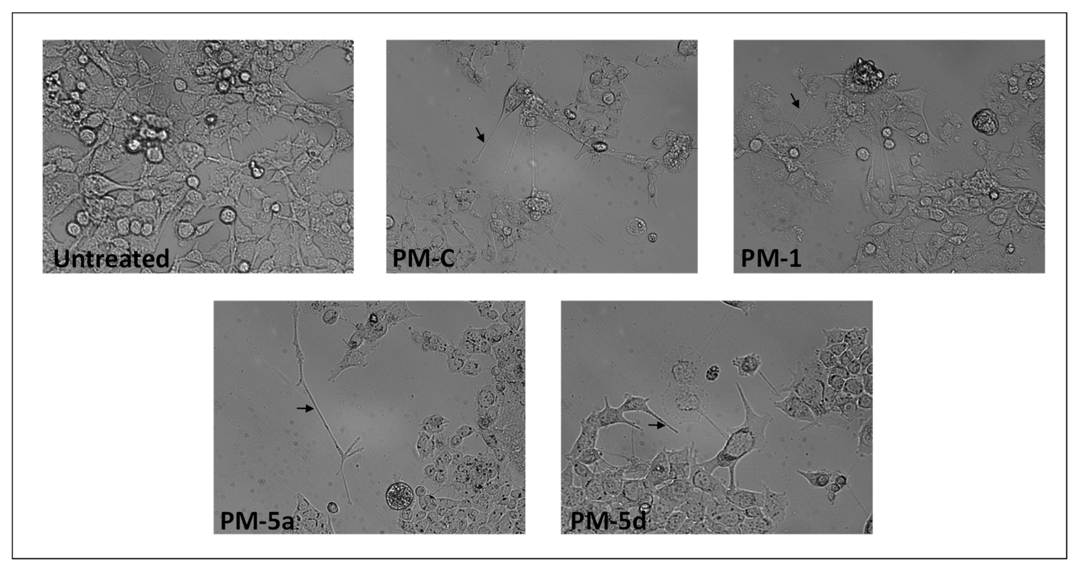 Antibiotics 09 00292 g005