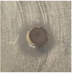 Antibiotics 09 00314 i002