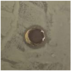 Antibiotics 09 00314 i003