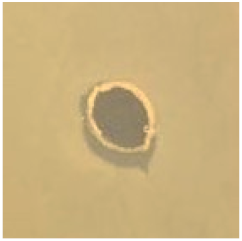 Antibiotics 09 00314 i015