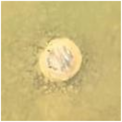 Antibiotics 09 00314 i028