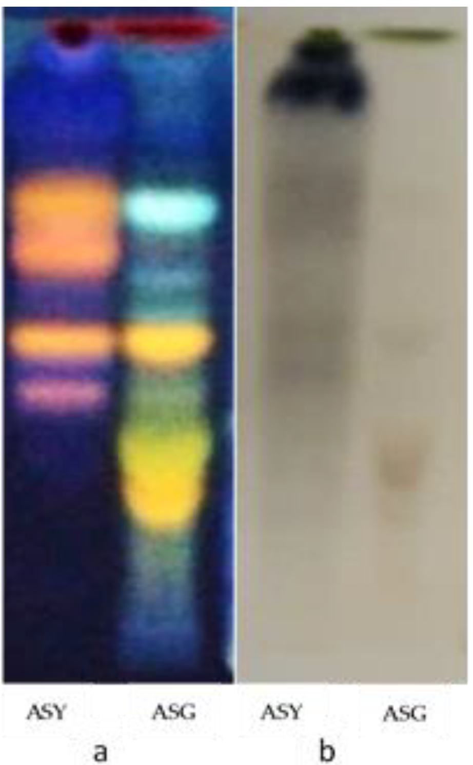 Antibiotics 09 00323 g001