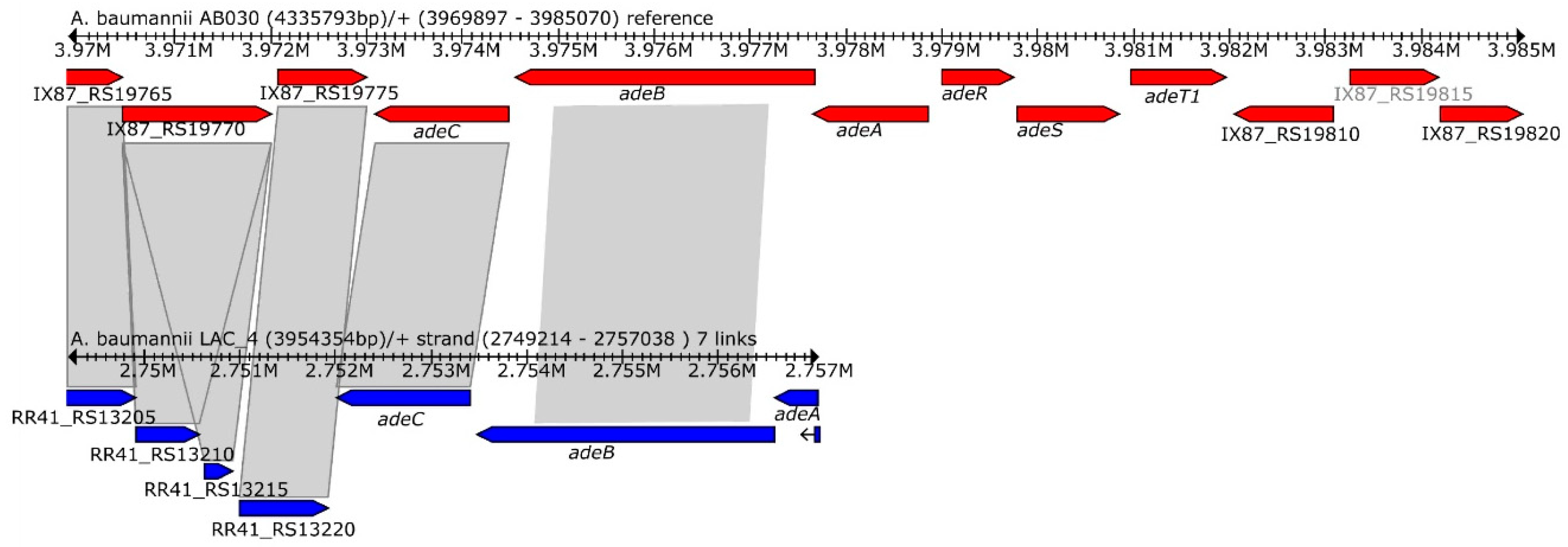 Antibiotics Free Full Text Characterization Of Extremely Drug Resistant And Hypervirulent Acinetobacter Baumannii Ab030 Html Antibiotics Free Full Text Characterization Of Extremely Drug Resistant And Hypervirulent Acinetobacter Baumannii Ab030 Html