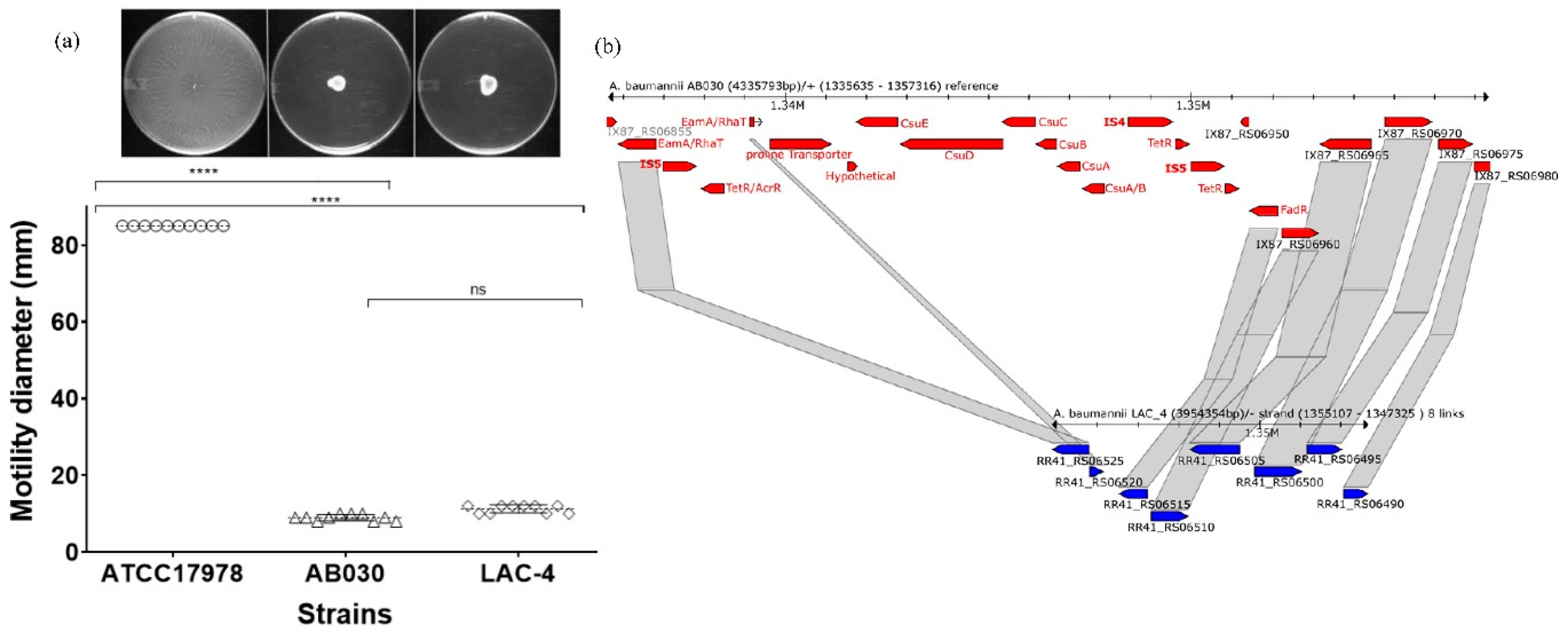 Antibiotics Free Full Text Characterization Of Extremely Drug Resistant And Hypervirulent Acinetobacter Baumannii Ab030 Html