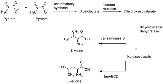 Antibiotics Free Full Text Multimodal Role Of Amino Acids In Microbial Control And Drug Development Html