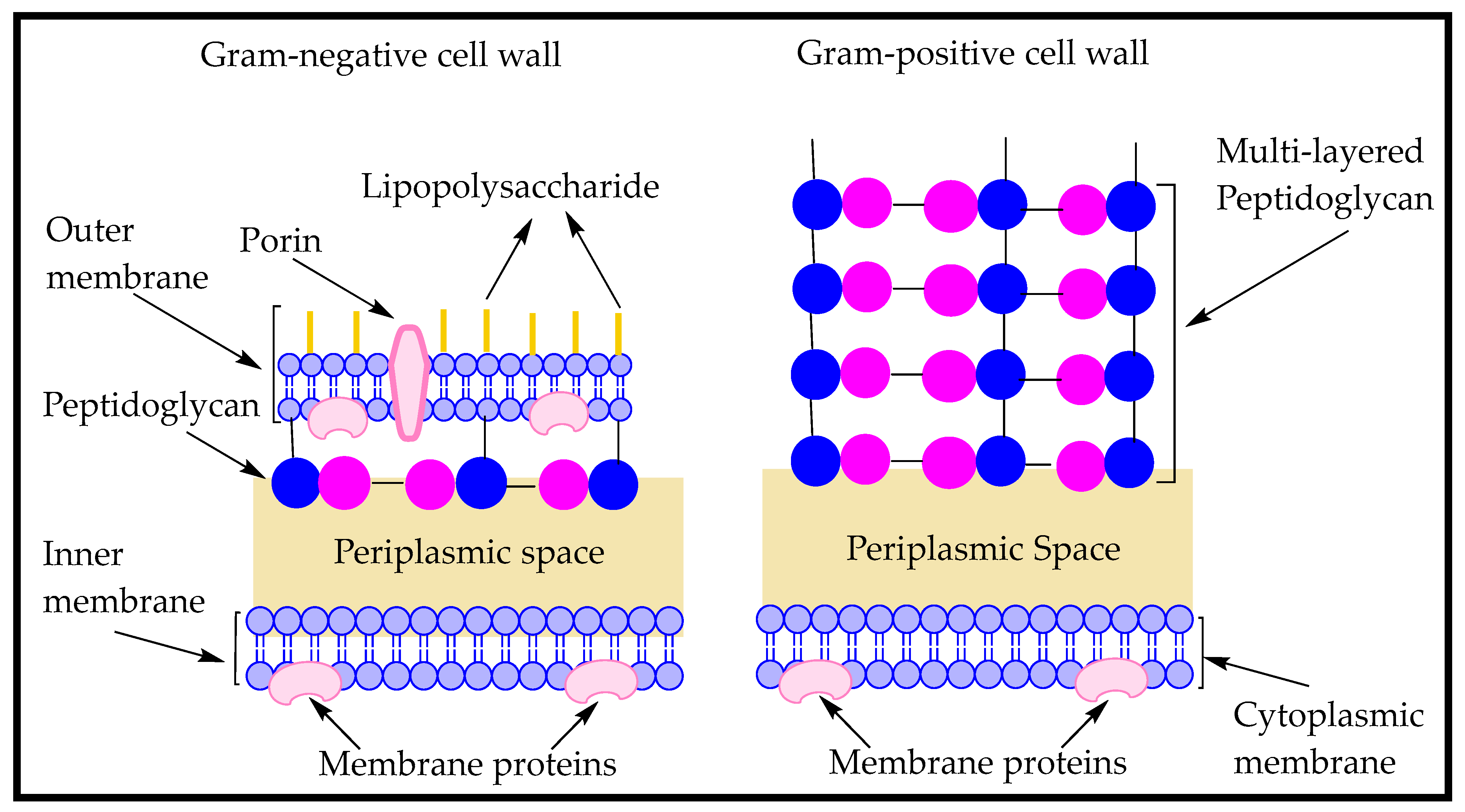 Antibiotics 09 00330 g009