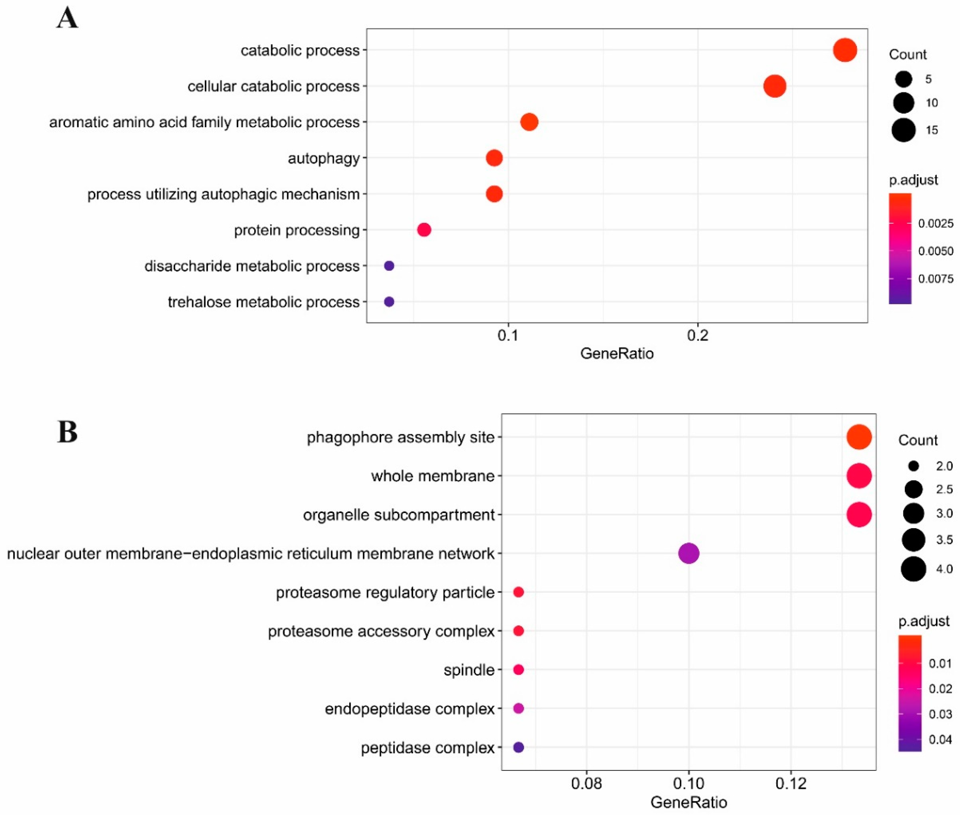 Antibiotics 09 00343 g002