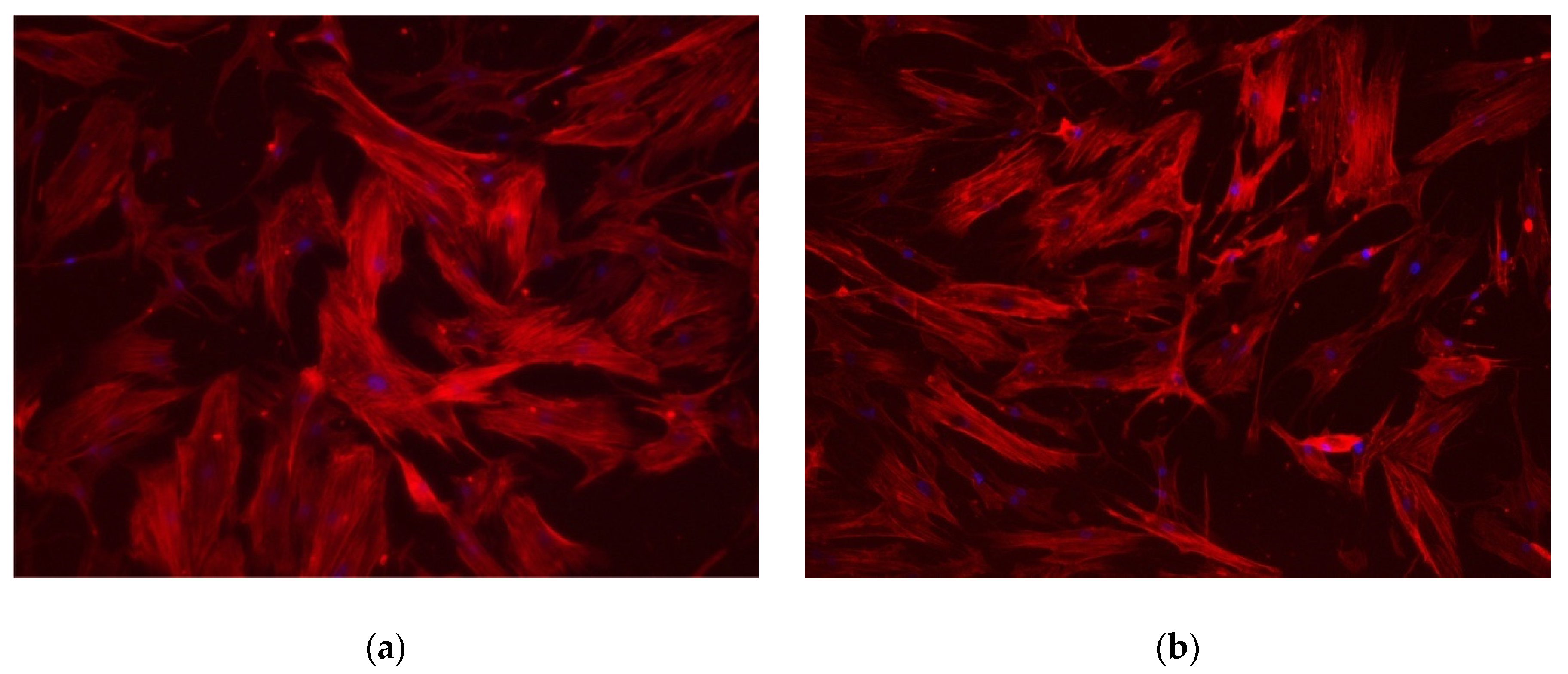 Antibiotics 09 00347 g003