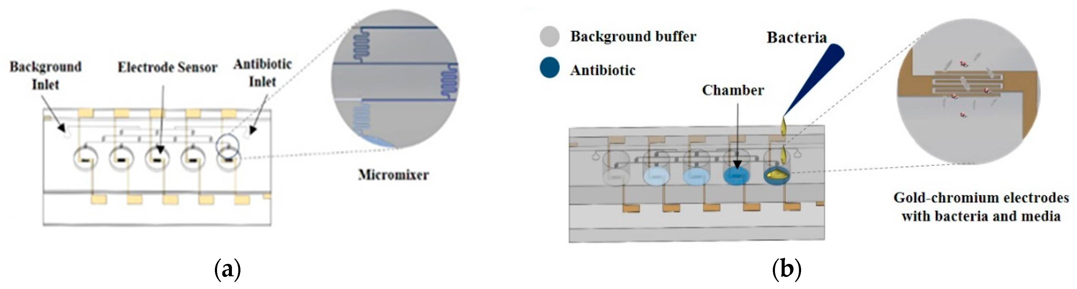 Antibiotics 09 00348 g007
