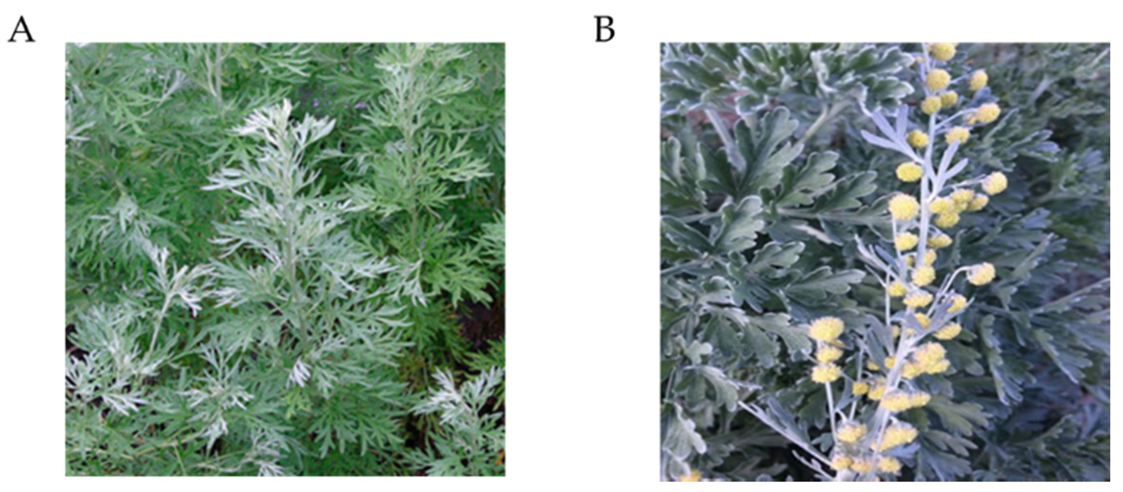 Antibiotics 09 00353 g001 Antibiotics 09 00353 g001