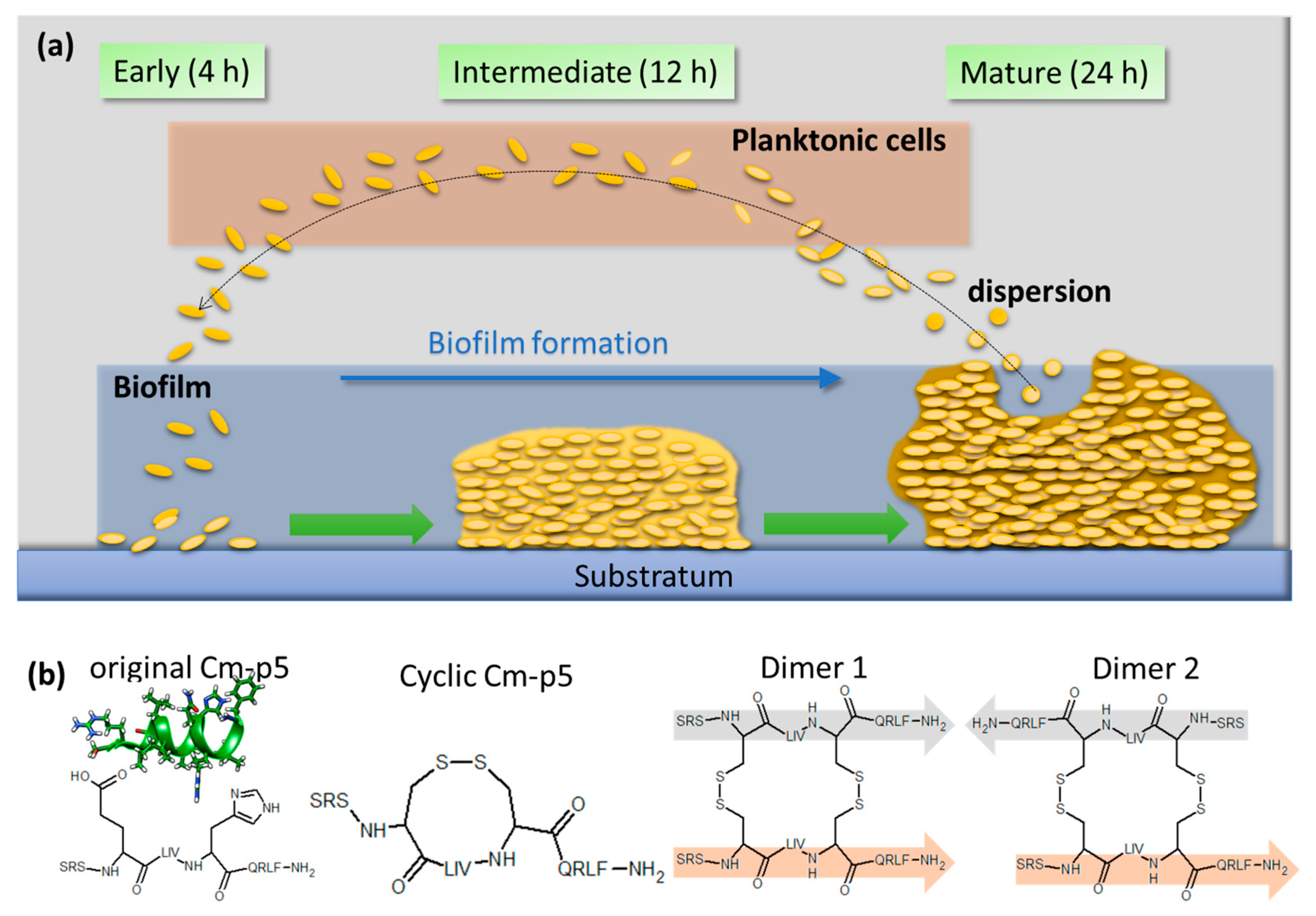 Antibiotics 09 00363 g001