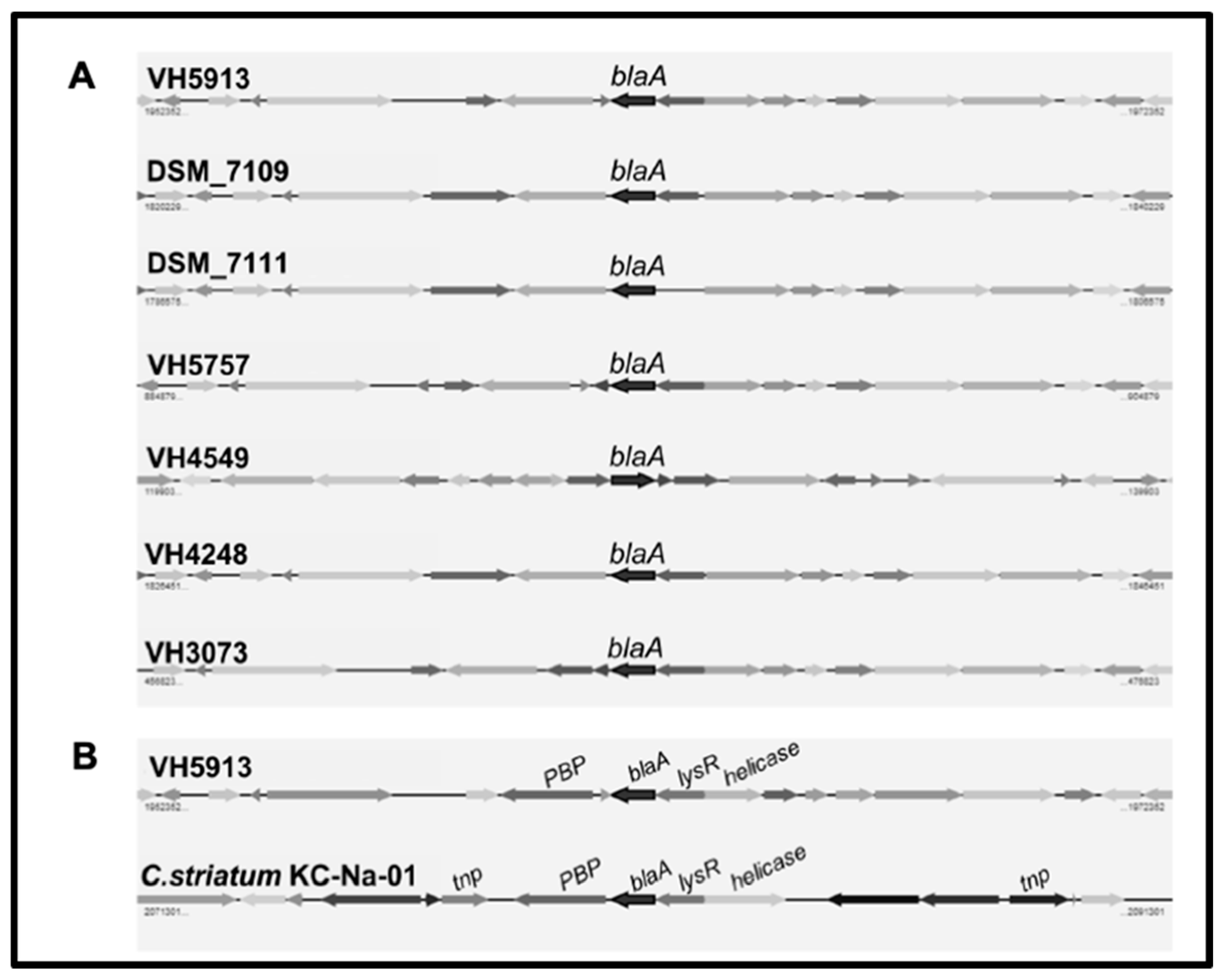 Antibiotics 09 00404 g002 Antibiotics 09 00404 g002