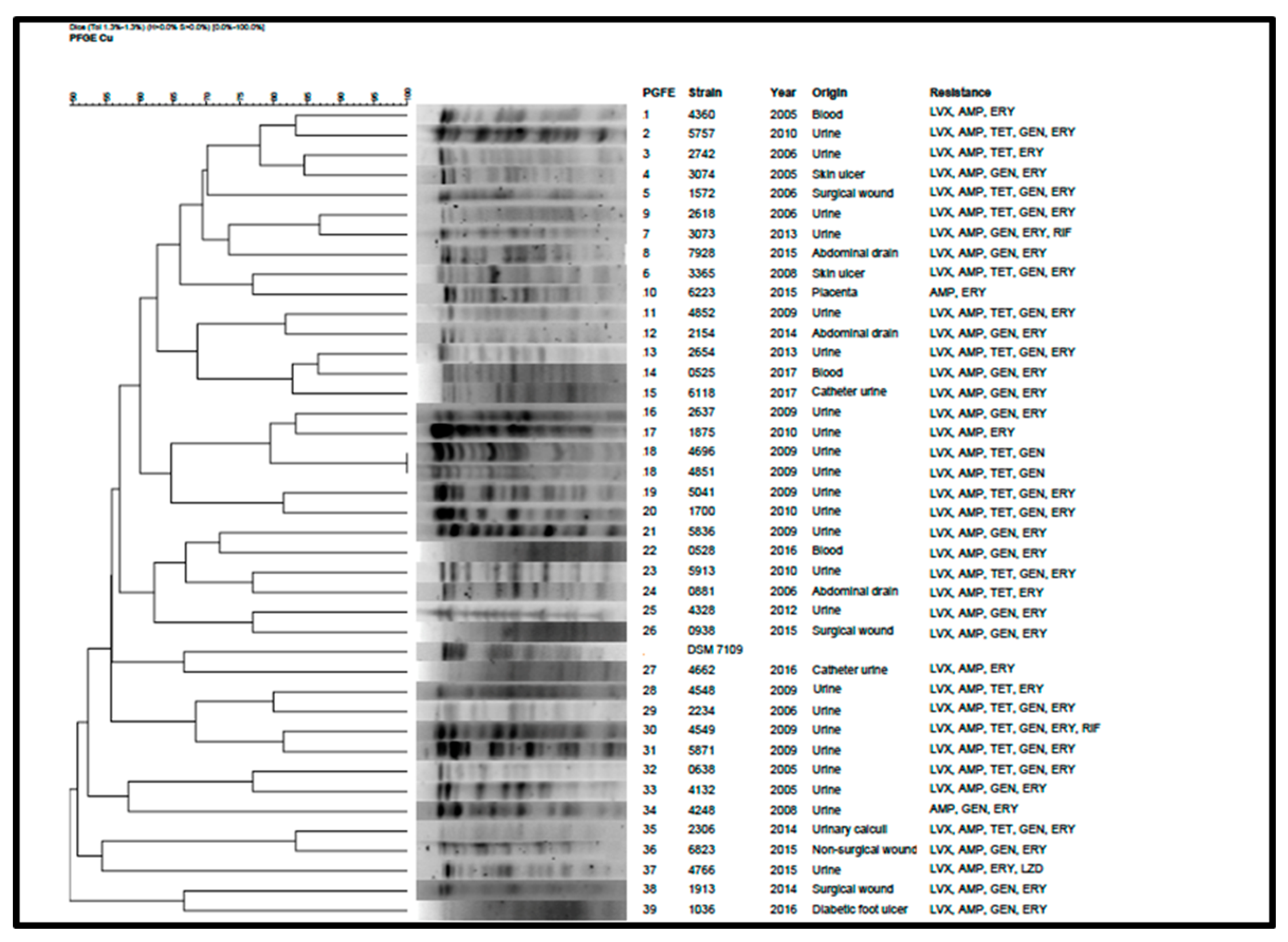 Antibiotics 09 00404 g004 Antibiotics 09 00404 g004