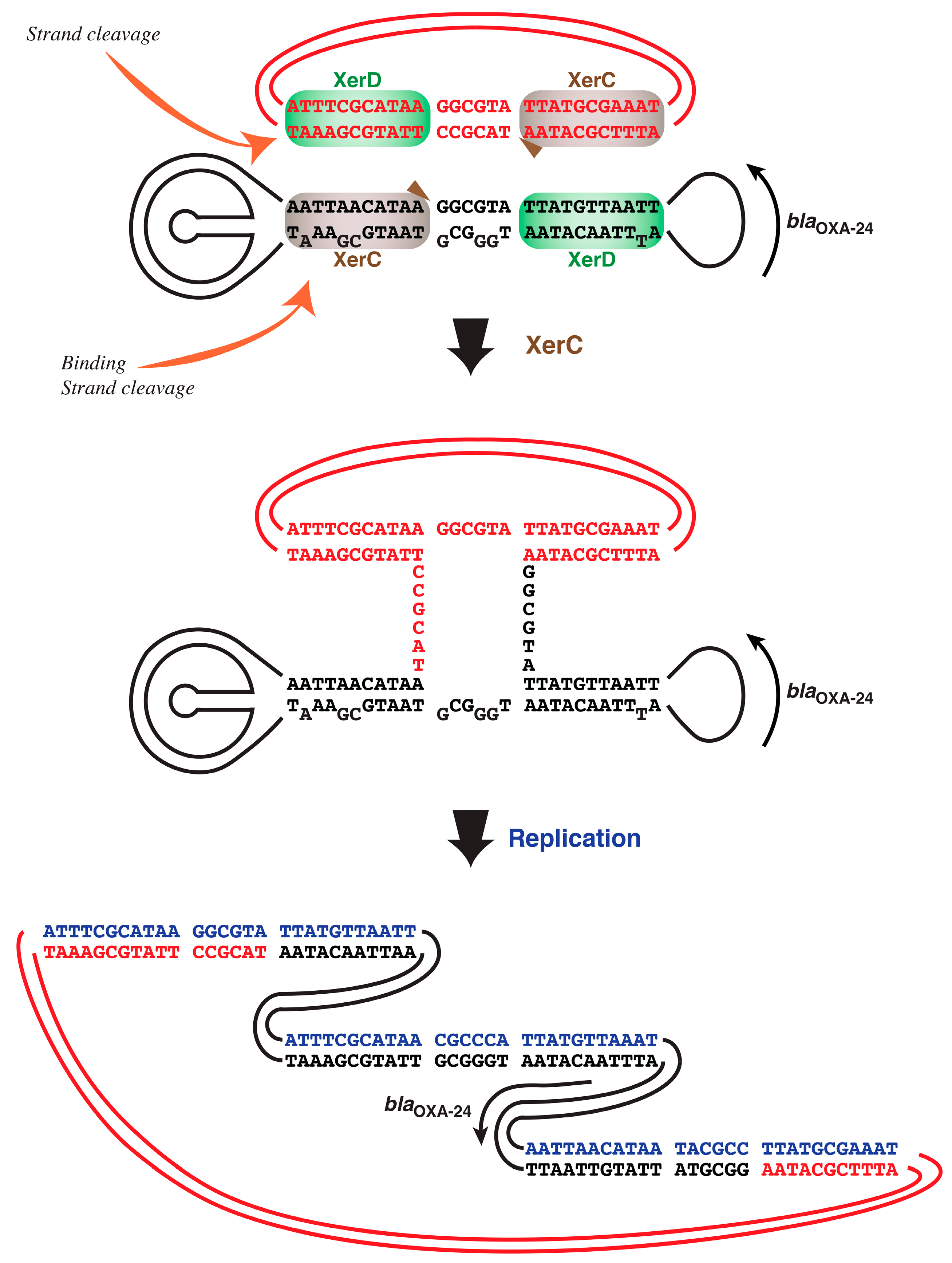 Antibiotics 09 00405 g003 Antibiotics 09 00405 g003